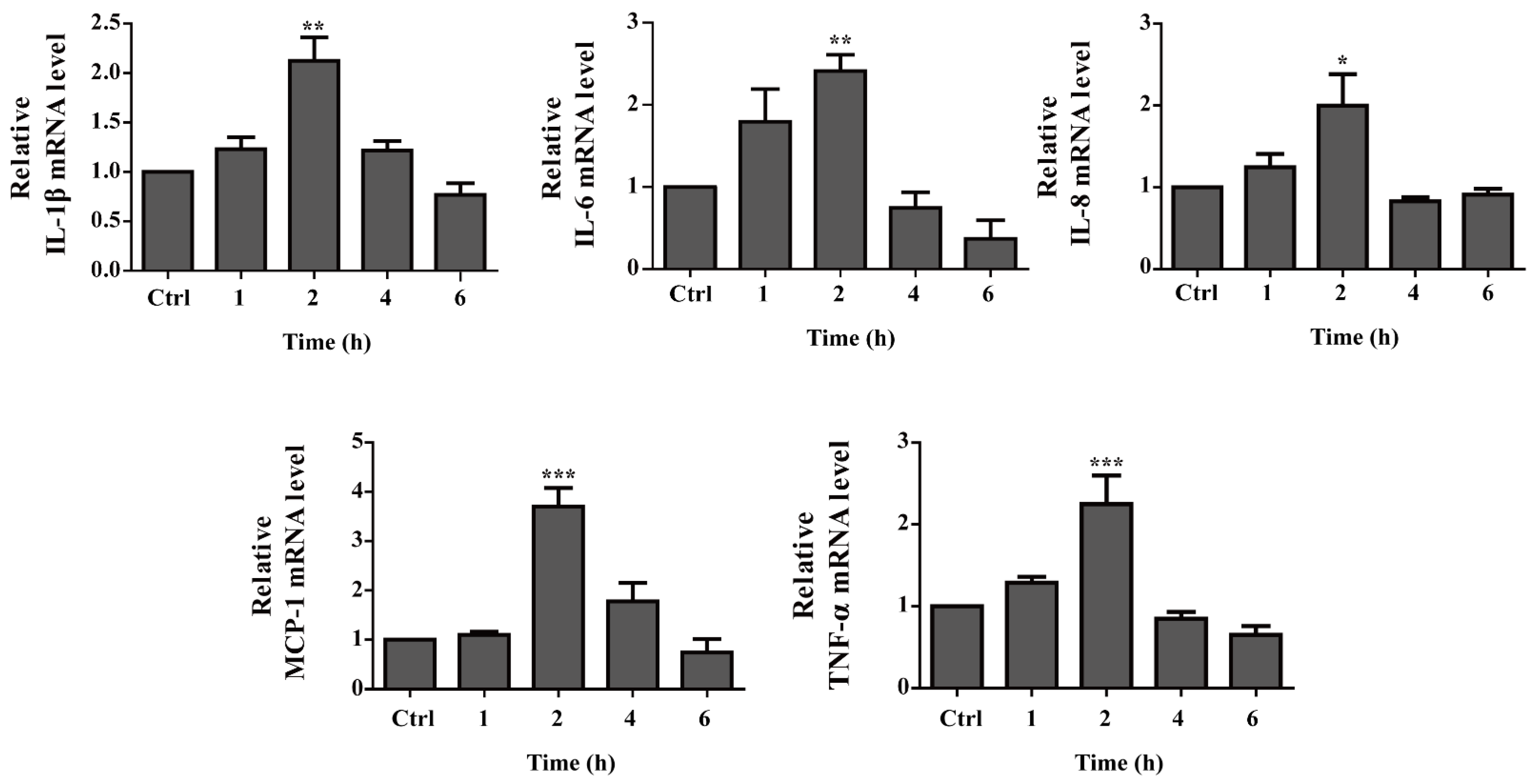 Ijms 22 07565 g007 Ijms 22 07565 g007