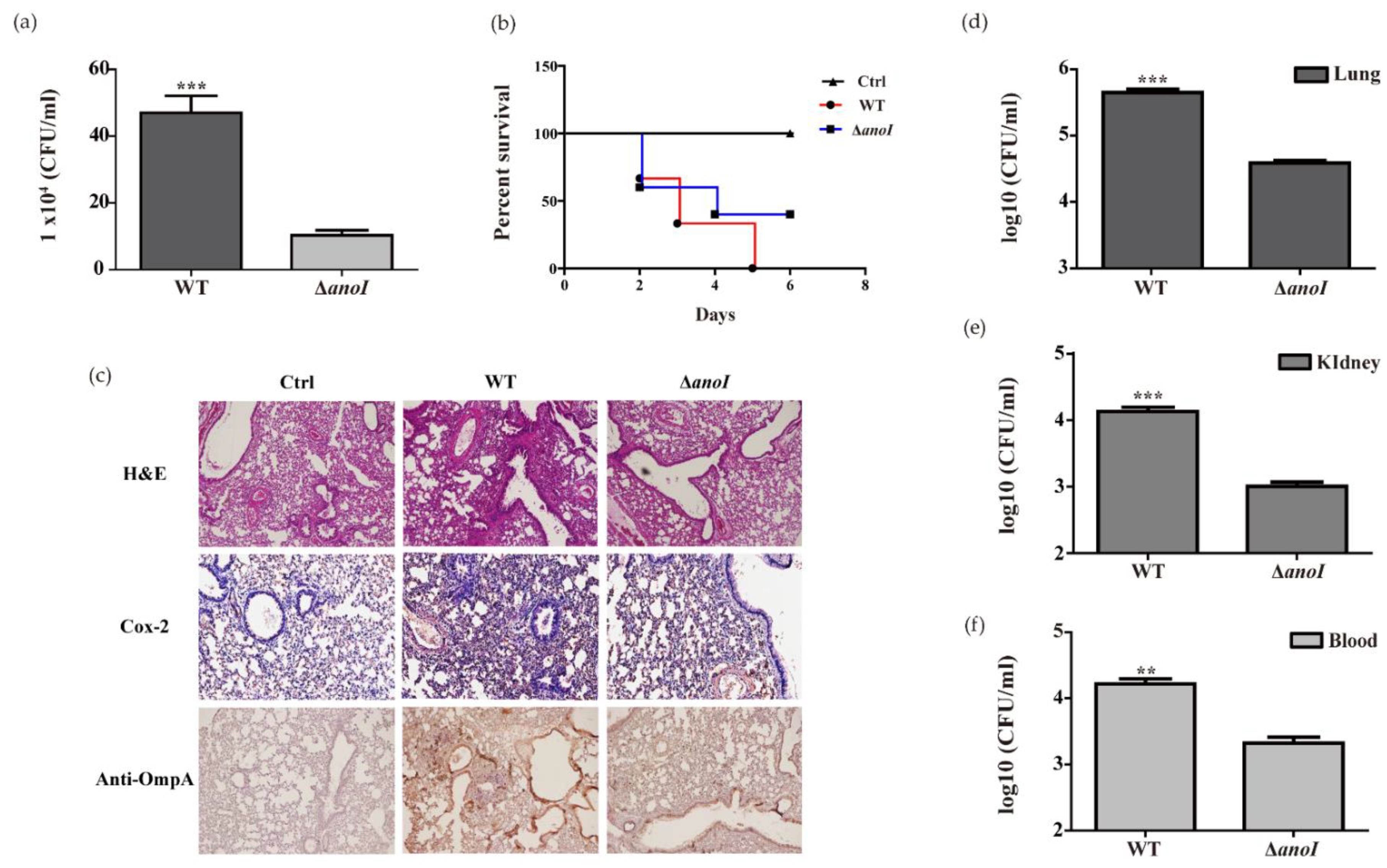 Ijms 22 07565 g008 Ijms 22 07565 g008