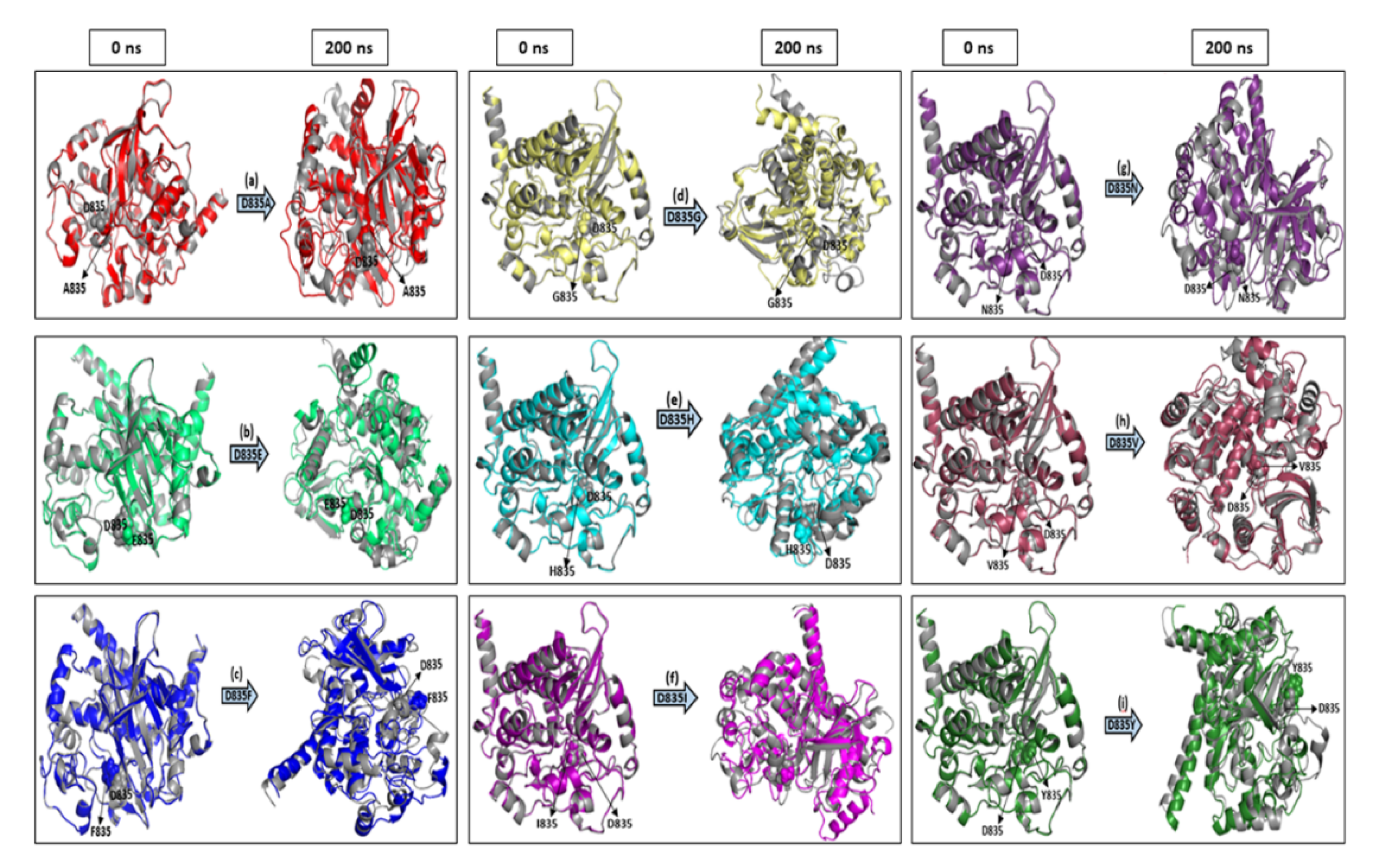 Ijms 22 07602 g008 Ijms 22 07602 g008