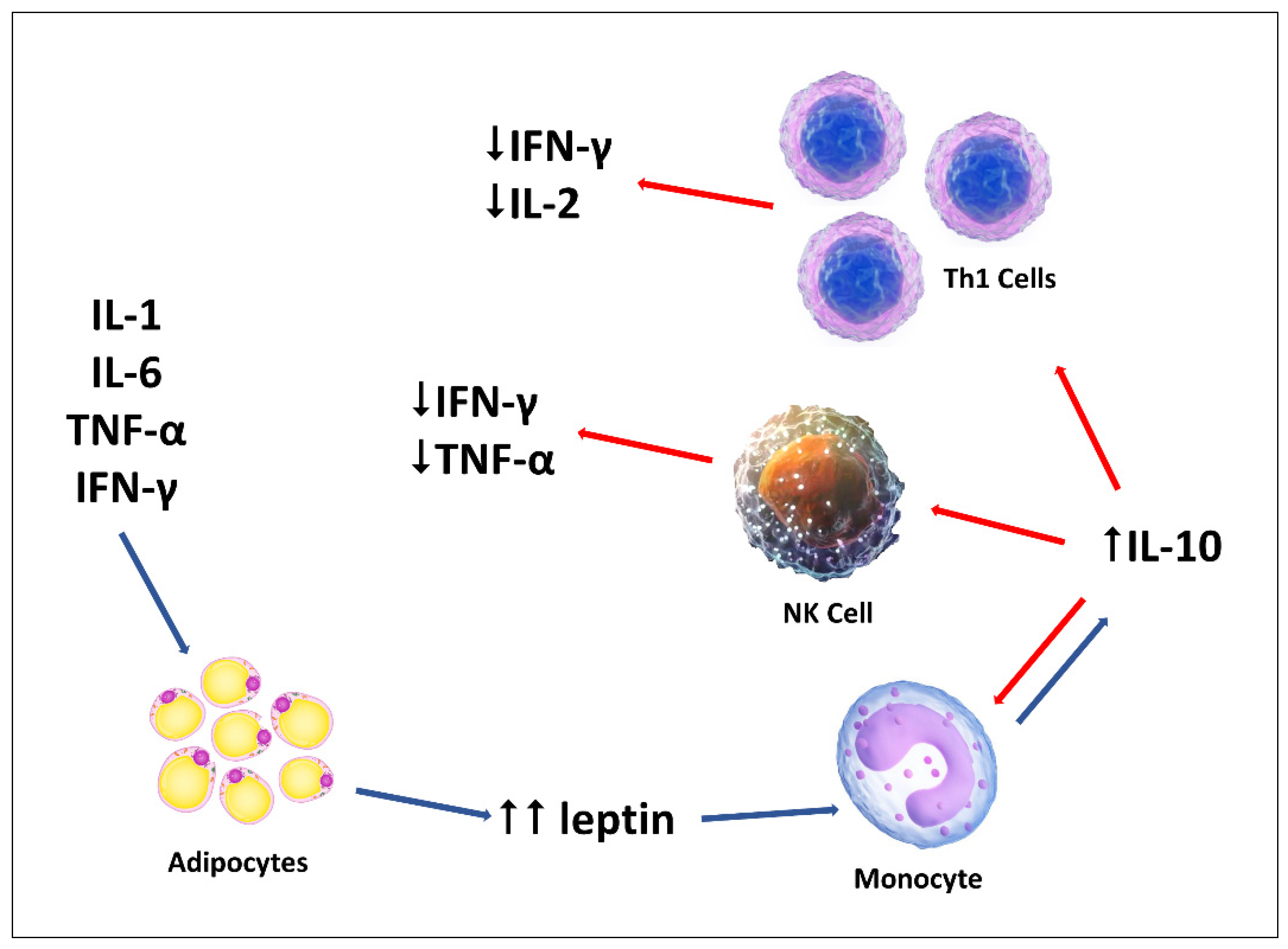 Ijms 22 07636 g007 Ijms 22 07636 g007