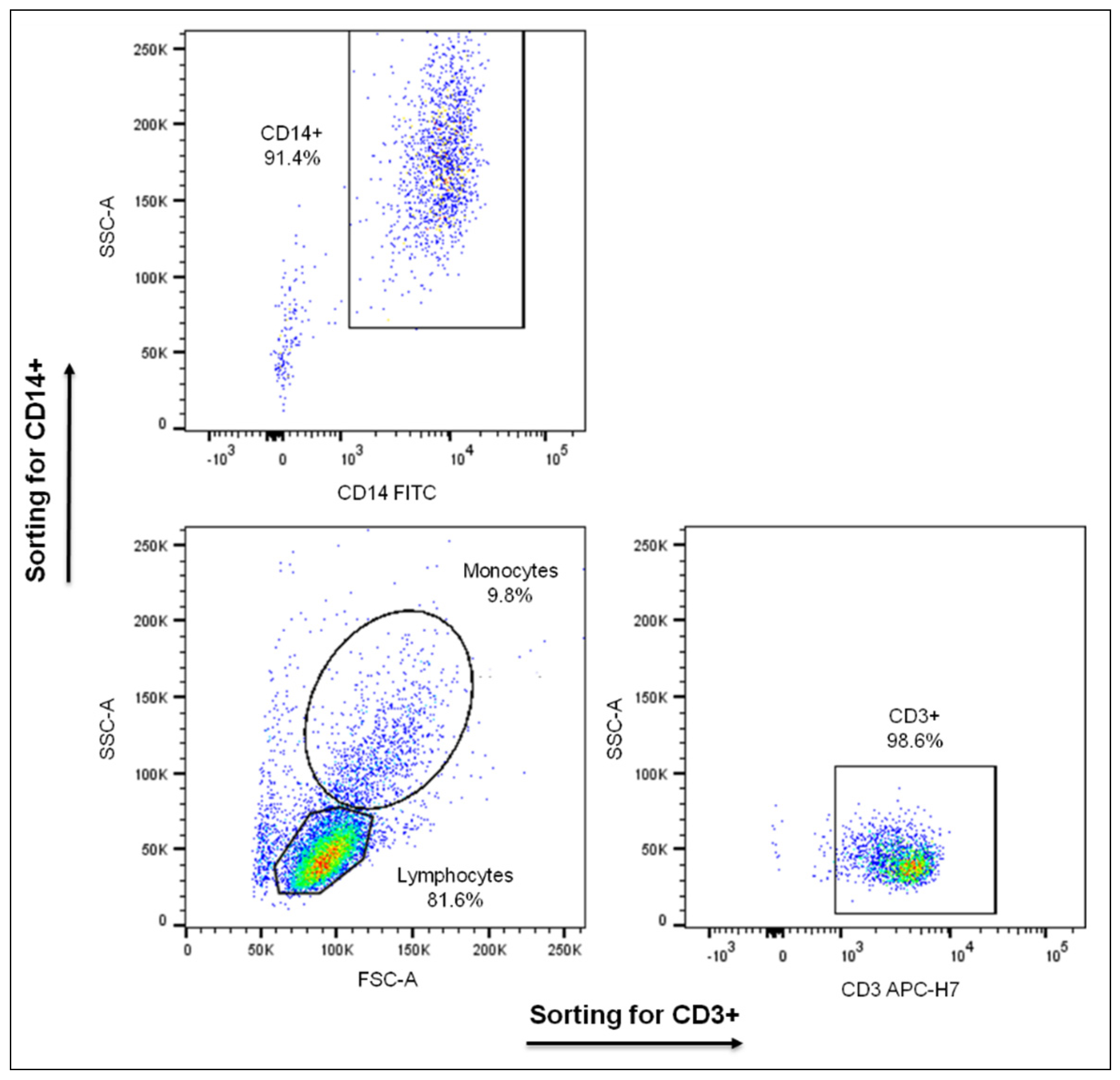 Ijms 22 07636 g008 Ijms 22 07636 g008