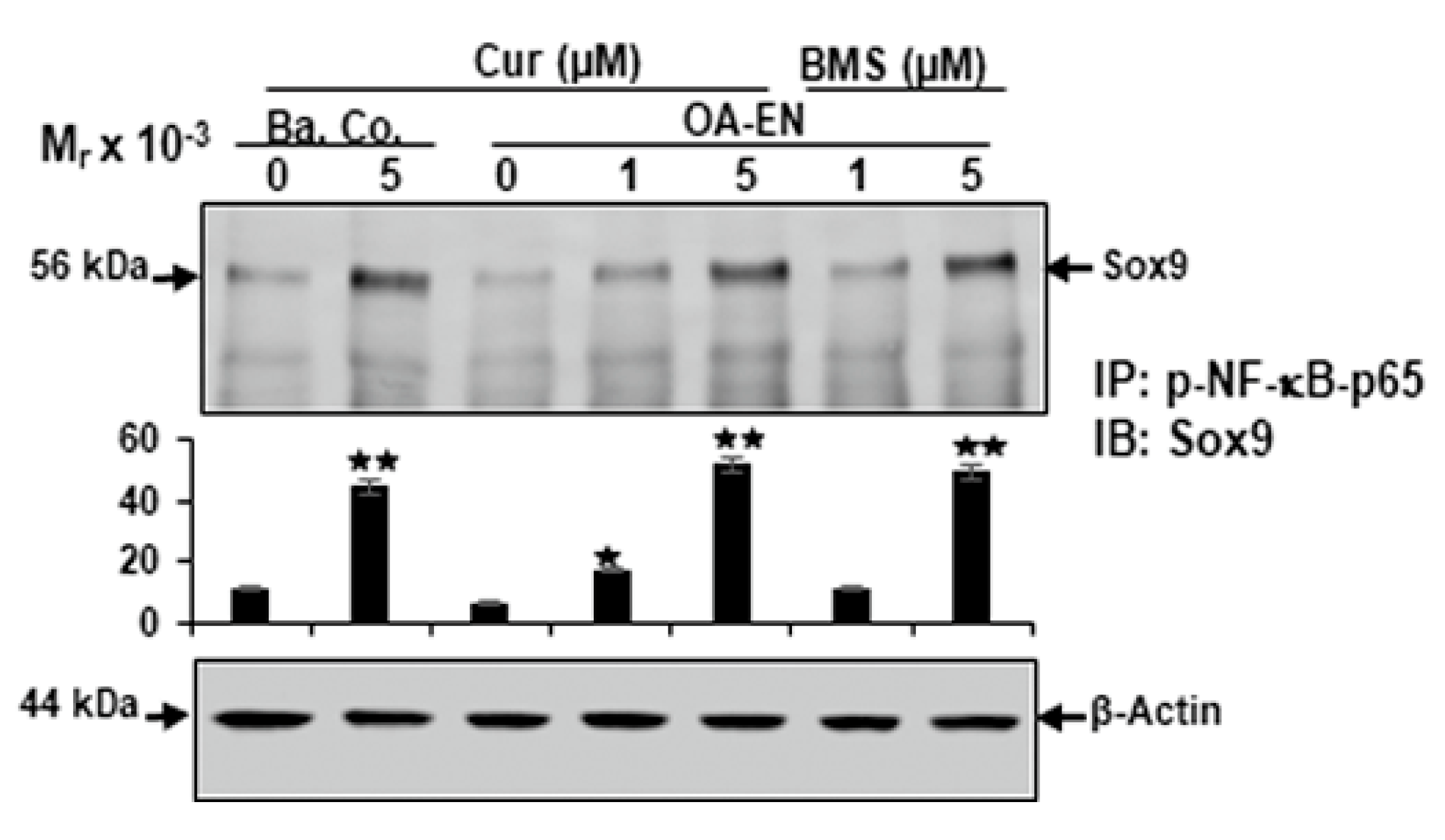 Ijms 22 07645 g005
