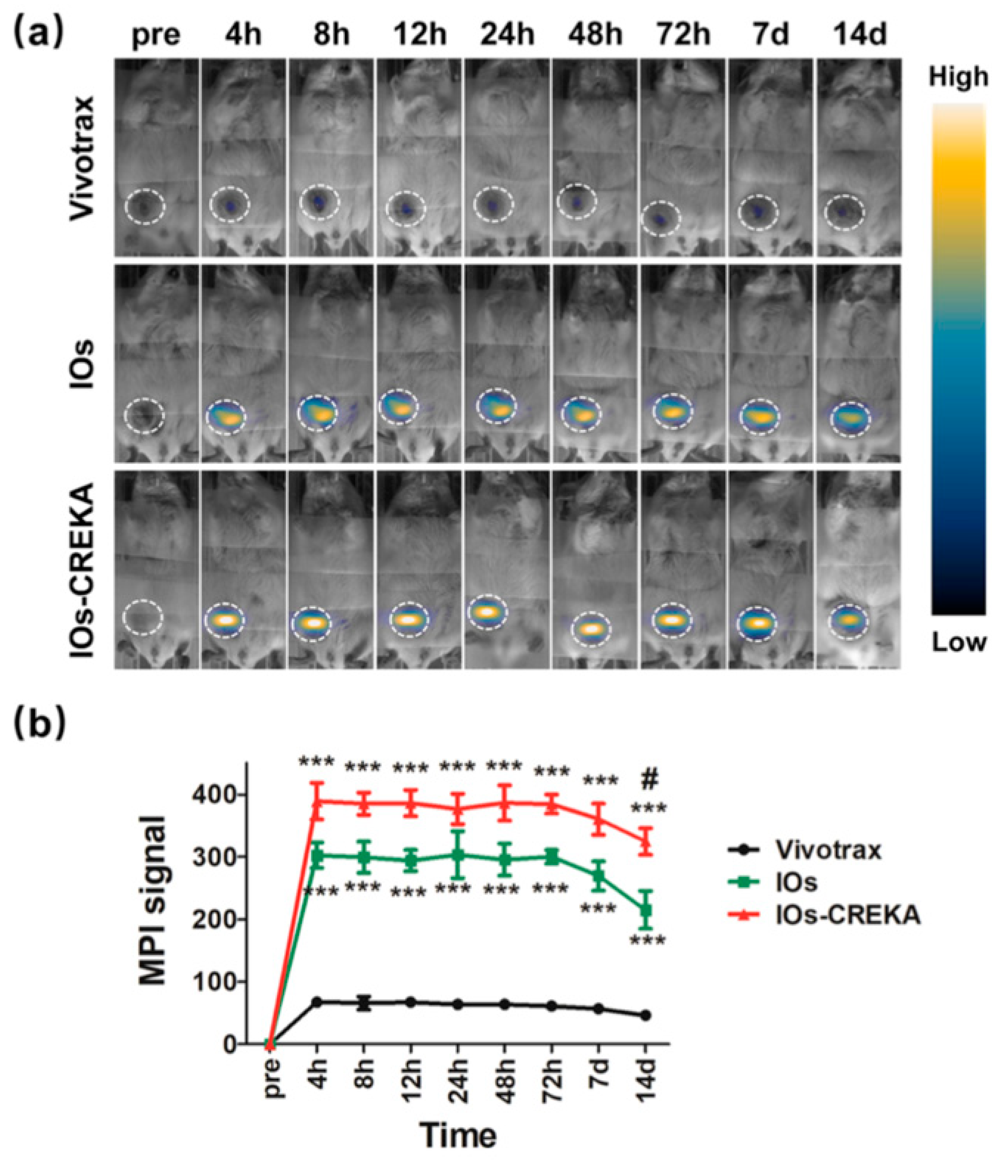 Ijms 22 07651 g001 Ijms 22 07651 g001