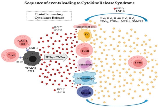 Ijms Free Full Text Cytokine Release Syndrome Associated With T Cell Based Therapies For 8304