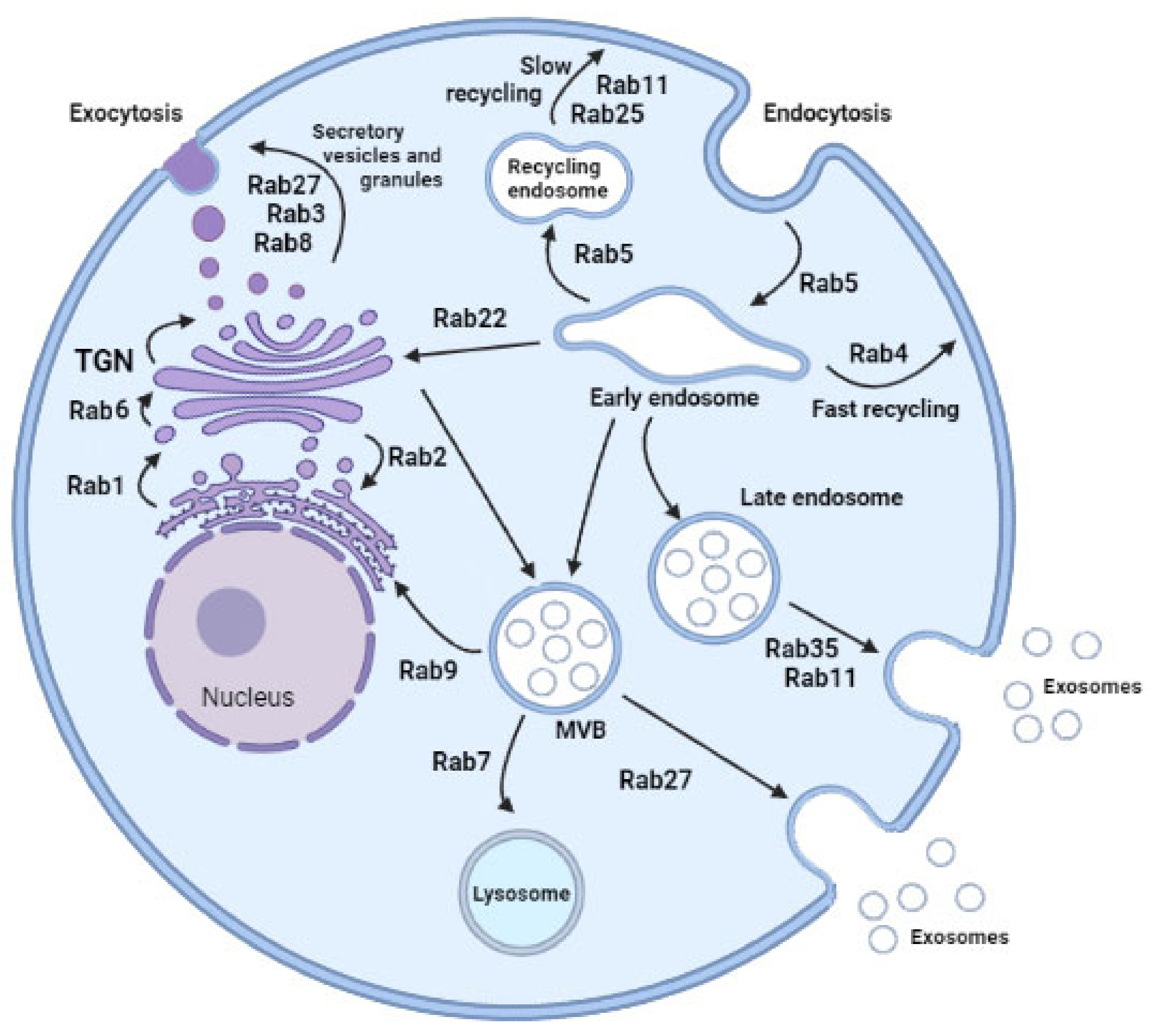 Ijms 22 07679 g001 Ijms 22 07679 g001