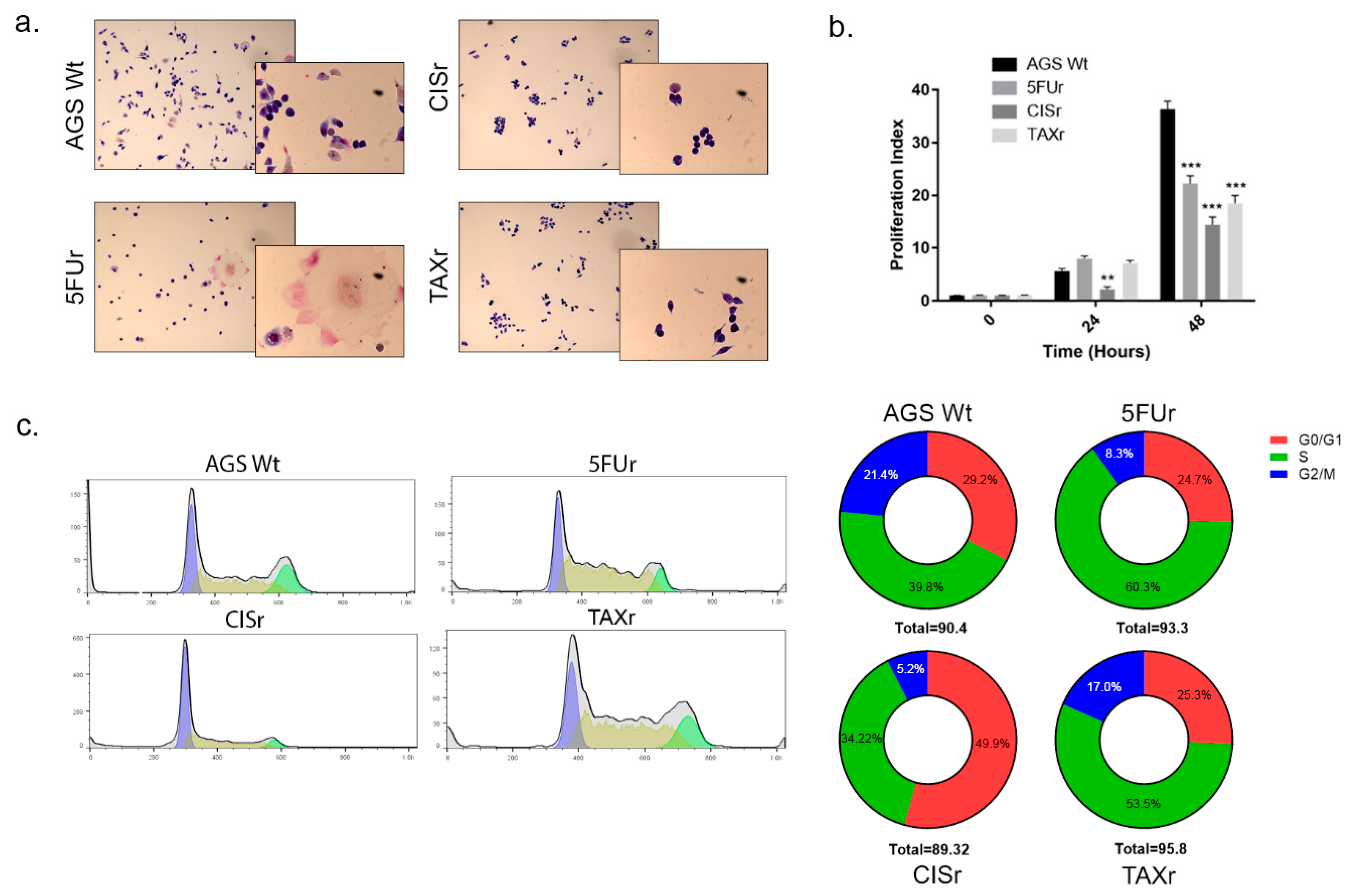 Ijms 22 07698 g002 Ijms 22 07698 g002