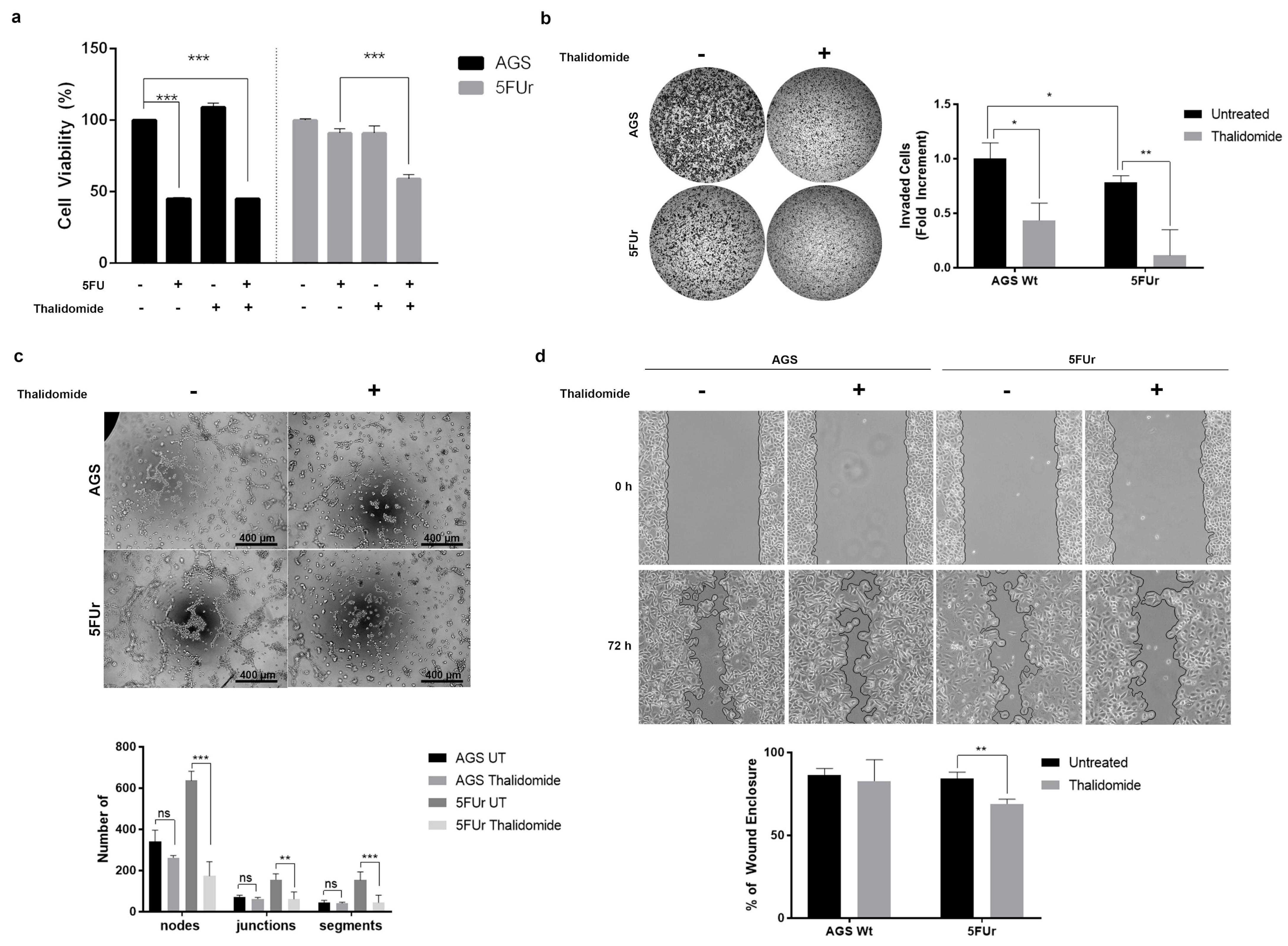 Ijms 22 07698 g006 Ijms 22 07698 g006