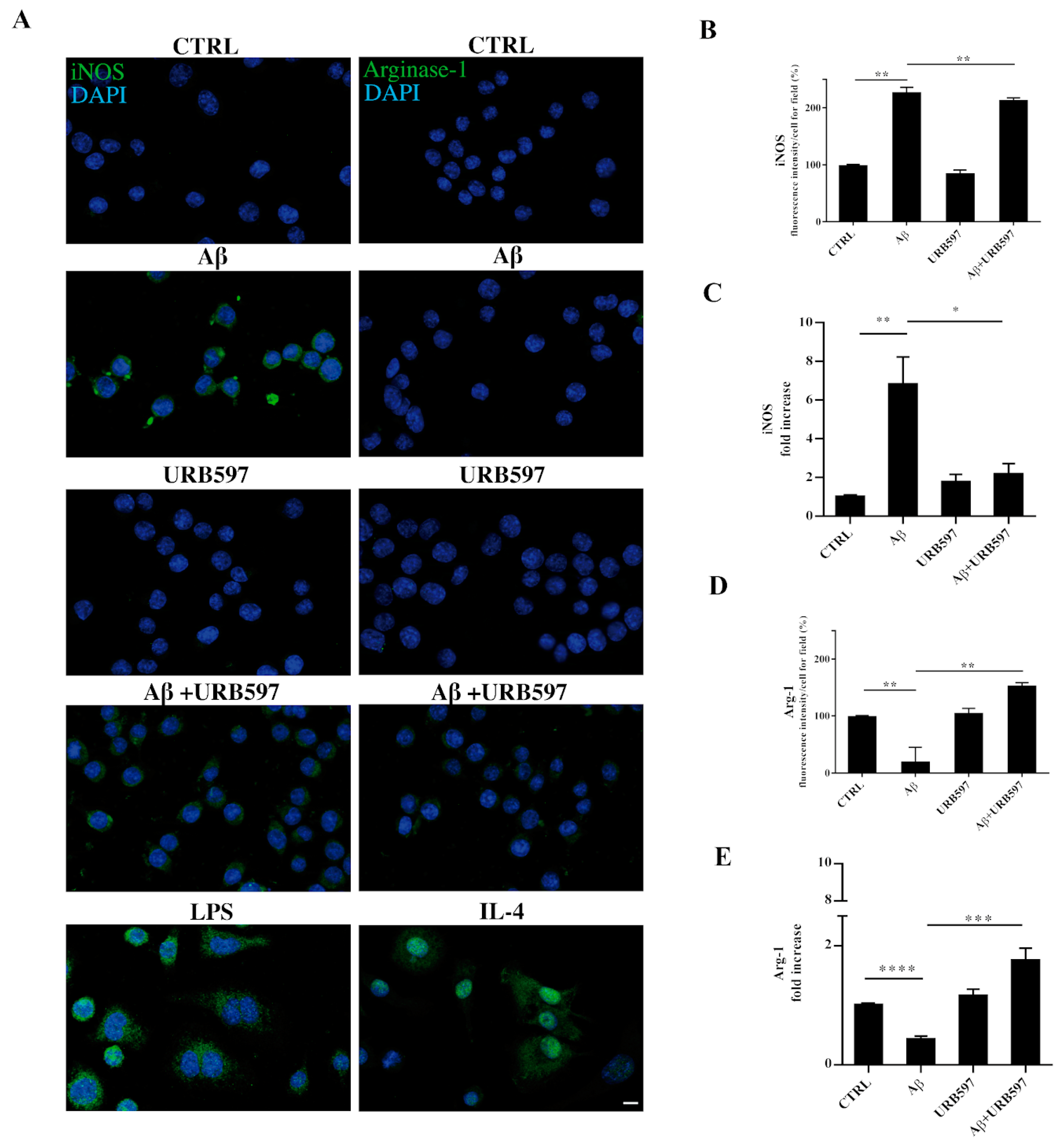 Ijms 22 07711 g009 Ijms 22 07711 g009