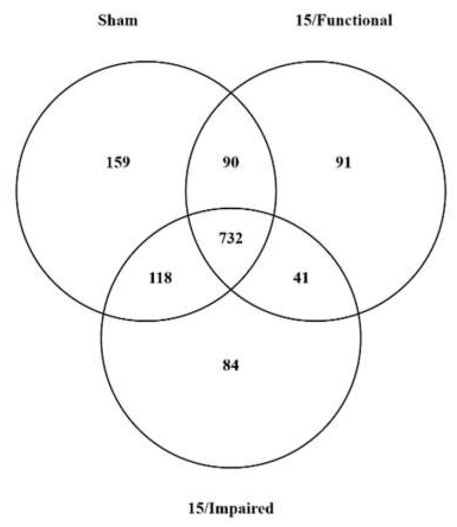 Ijms 22 07713 g002 Ijms 22 07713 g002