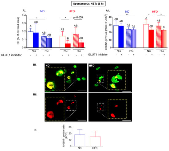 Ijms Free Full Text Metabolic Pathways Involved In Formation Of Spontaneous And 3825