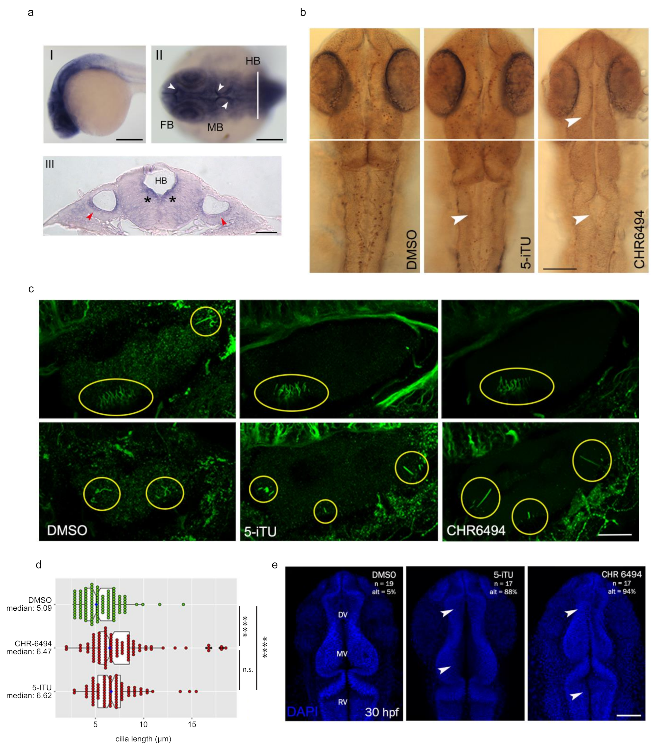 Ijms 22 07753 g005