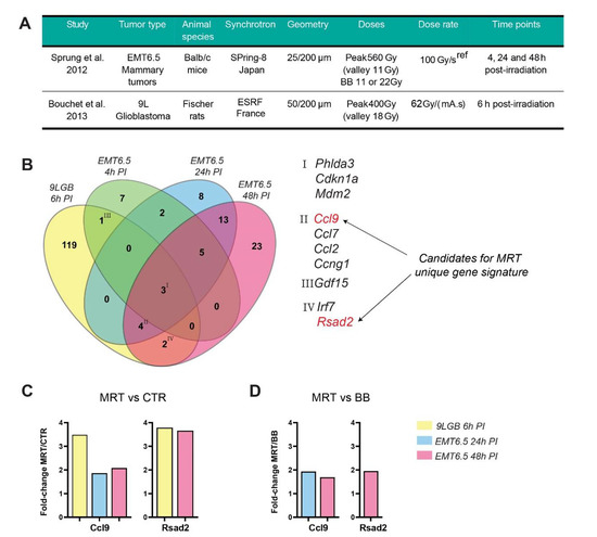 IJMS | Free Full-Text | Microbeam Radiotherapy—A Novel Therapeutic