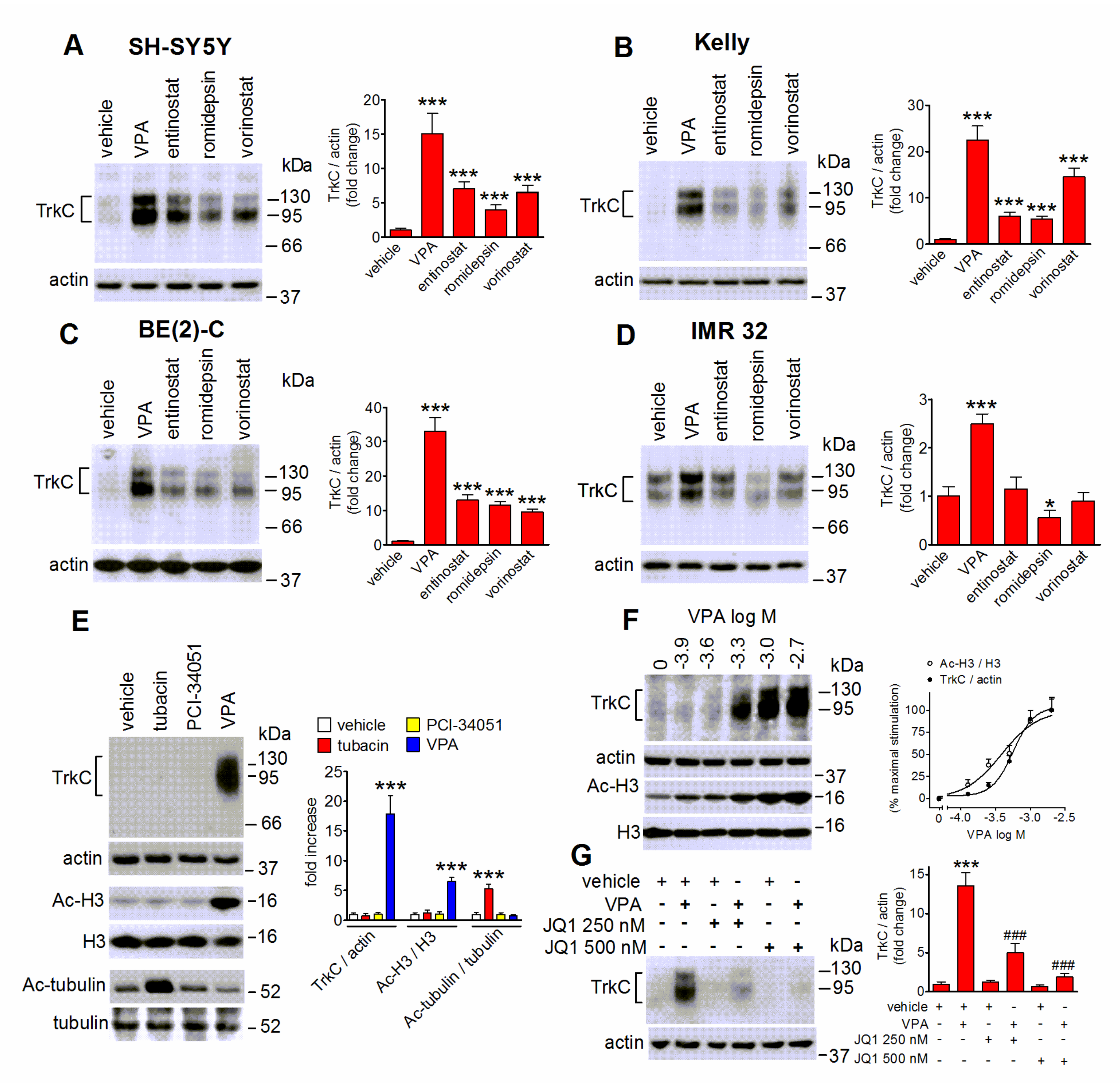 Ijms 22 07790 g003 Ijms 22 07790 g003