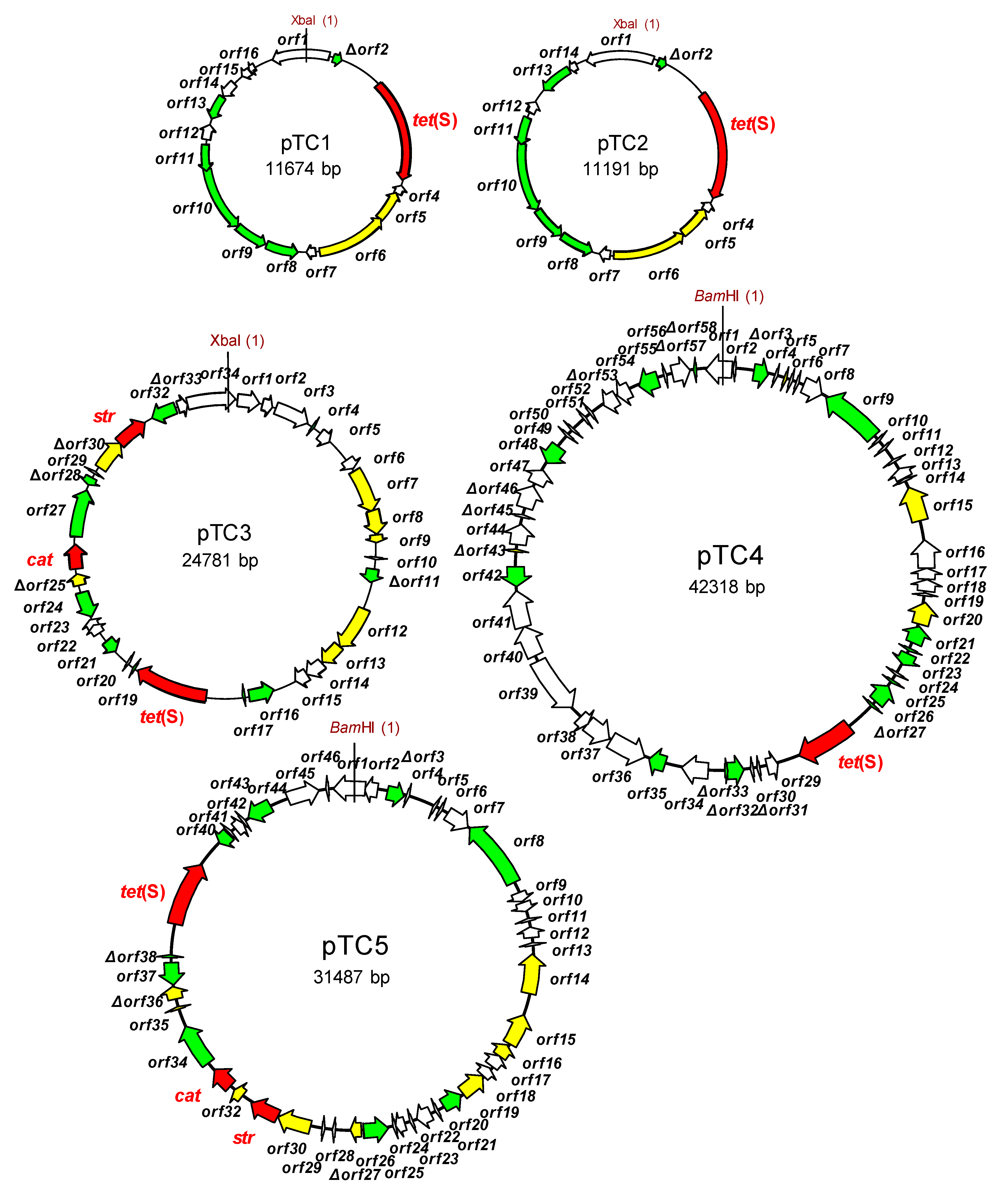 Ijms 22 07801 g002 Ijms 22 07801 g002