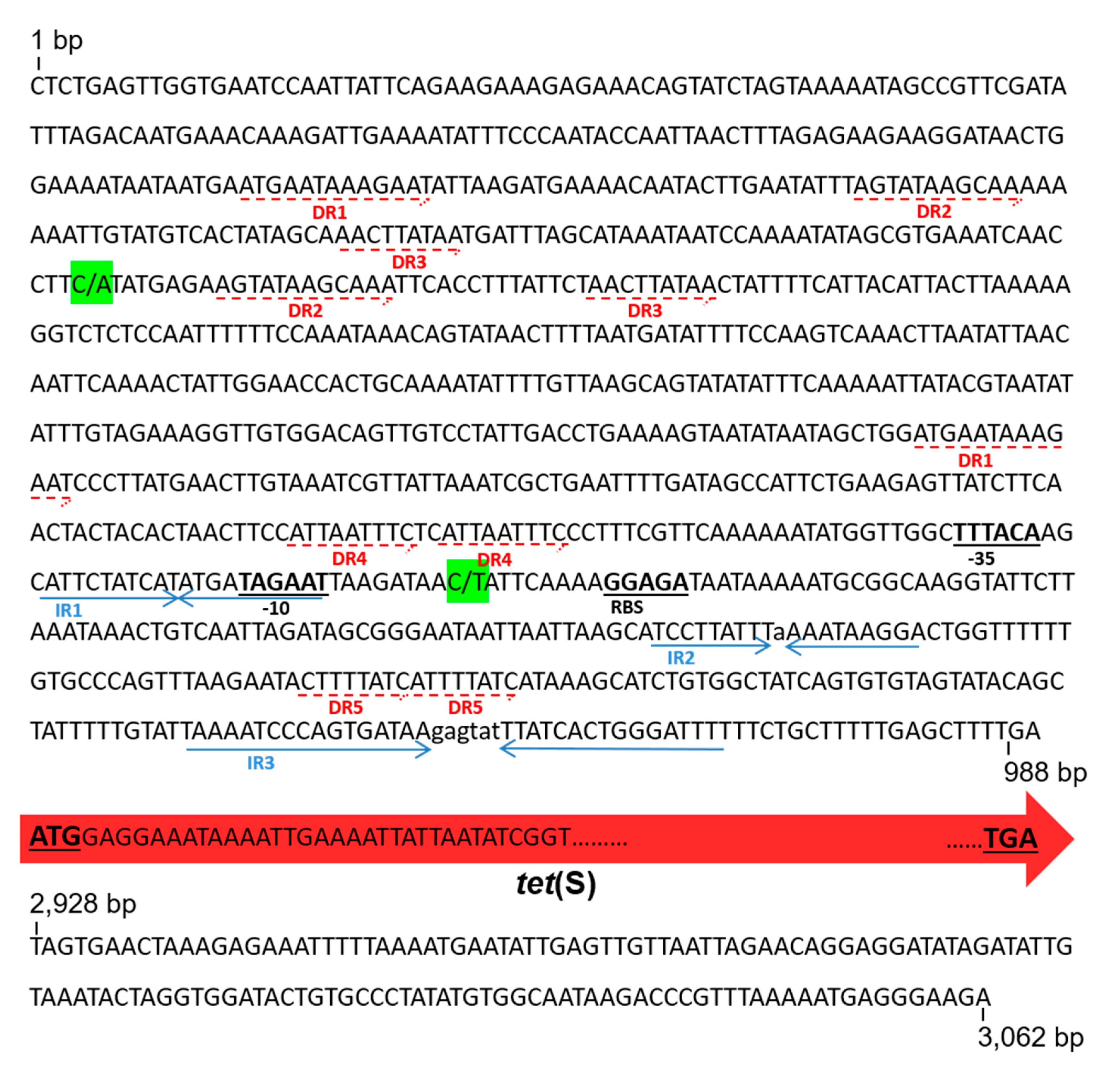 Ijms 22 07801 g005 Ijms 22 07801 g005