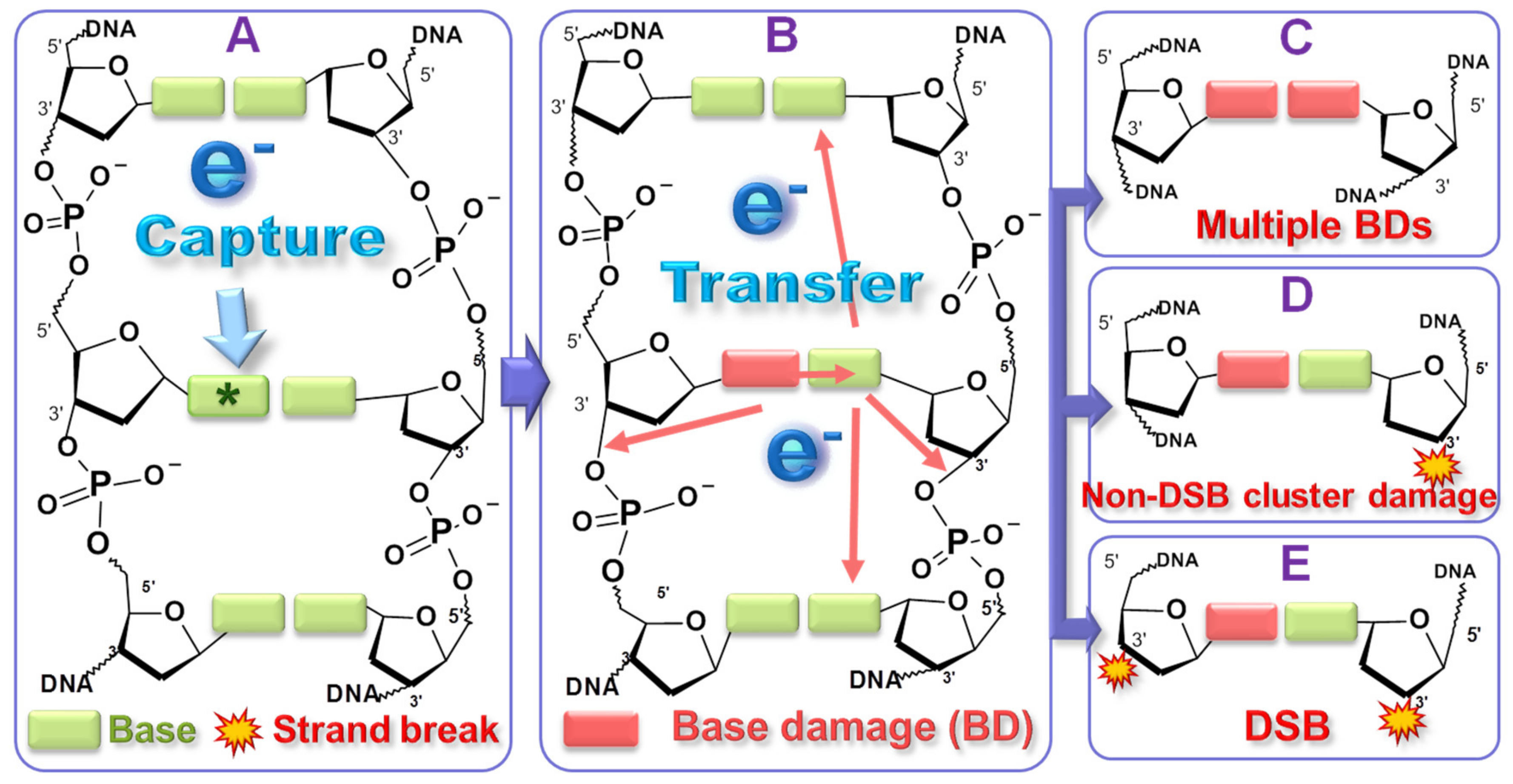 Ijms 22 07879 sch001 Ijms 22 07879 sch001