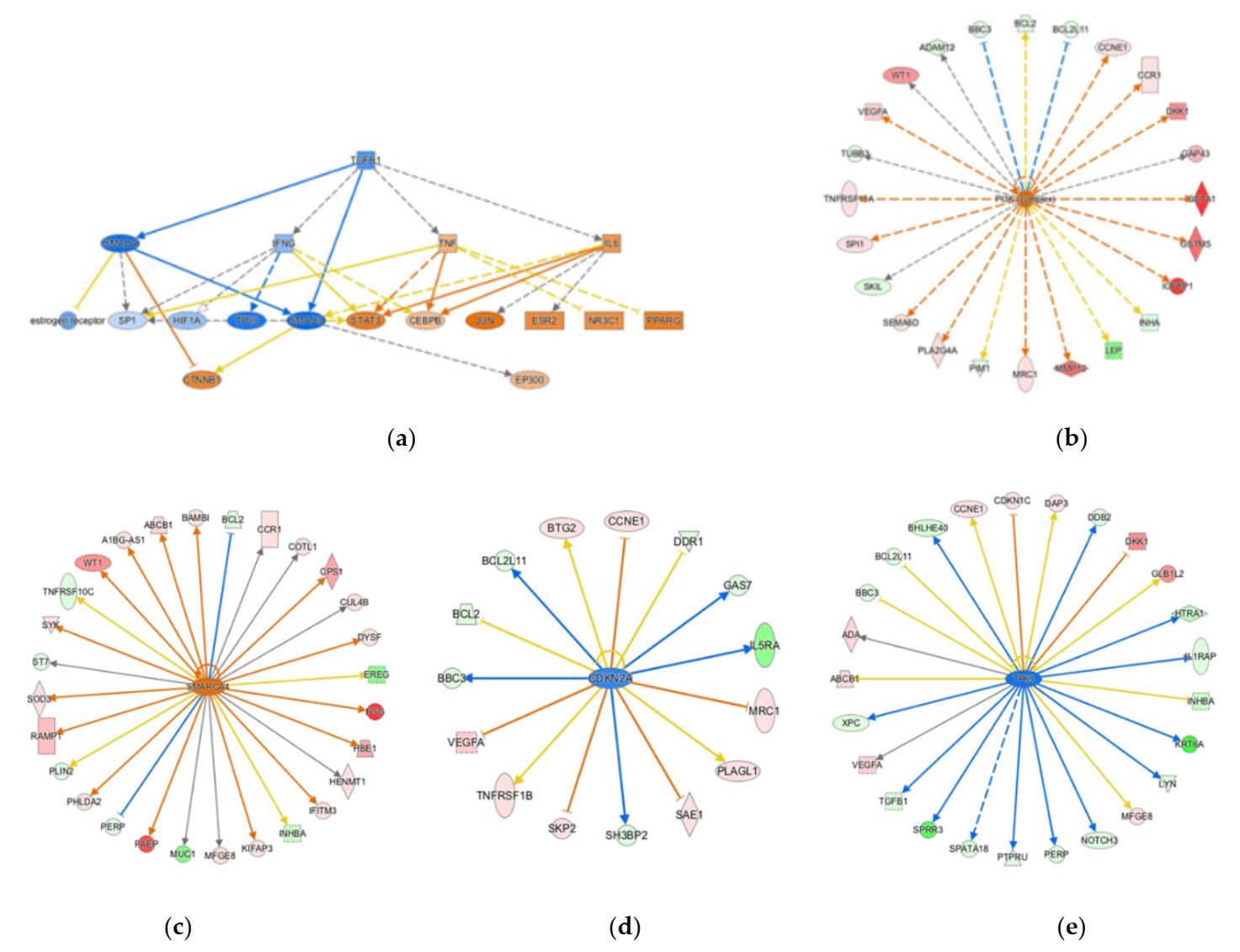 Ijms 22 07899 g003 Ijms 22 07899 g003