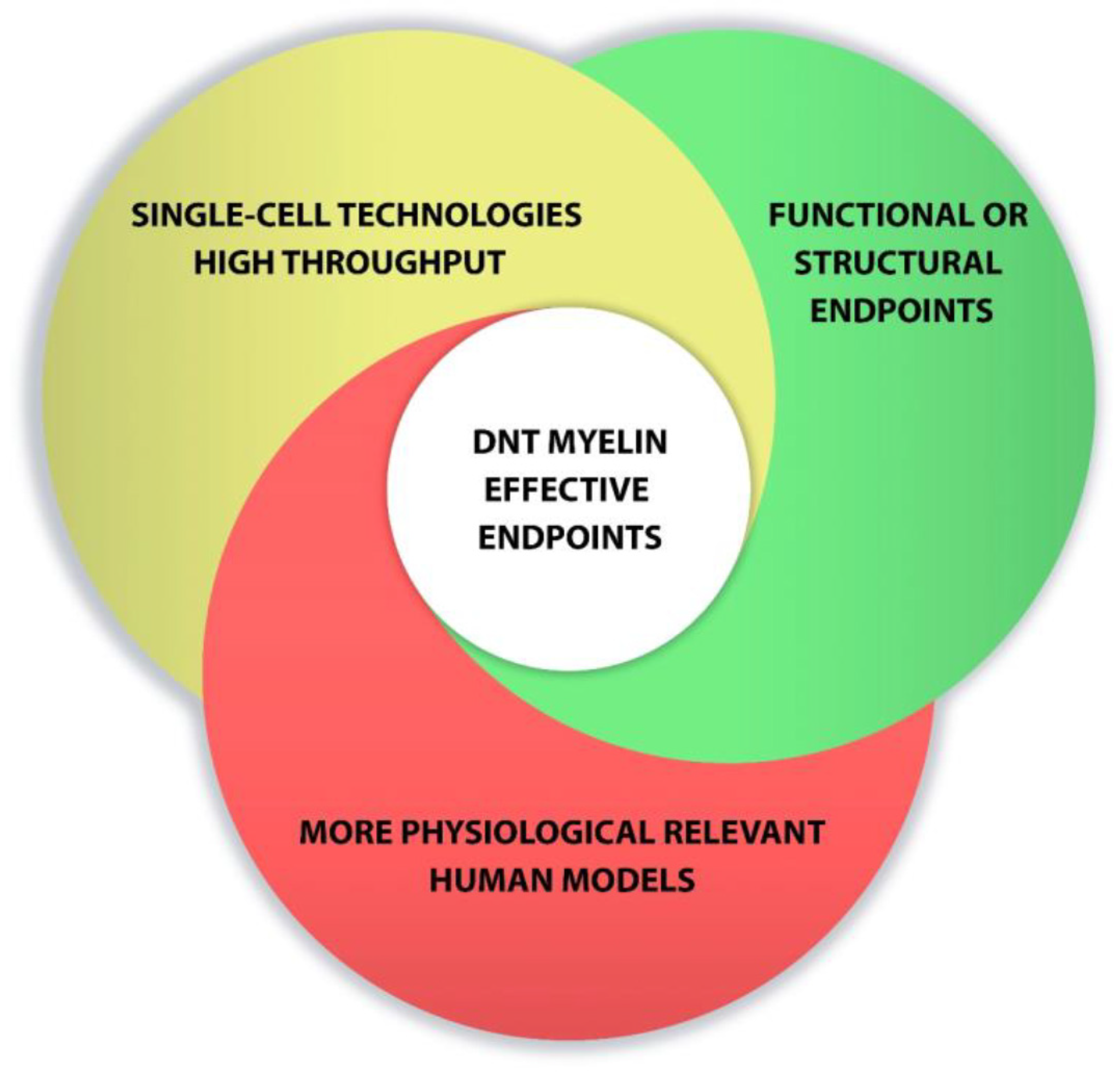 Ijms 22 07929 g002 Ijms 22 07929 g002