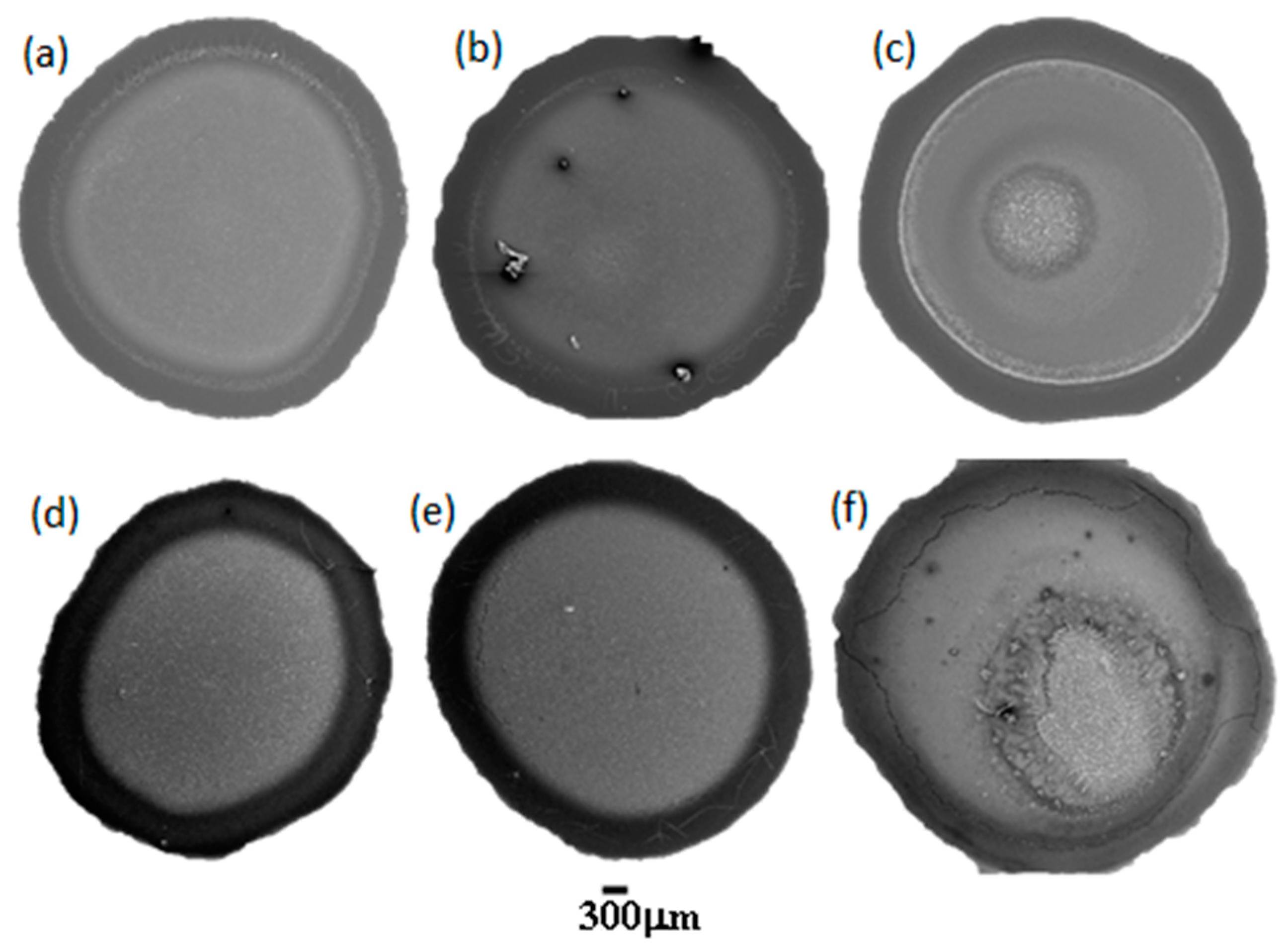 Ijms 22 07953 g002 Ijms 22 07953 g002