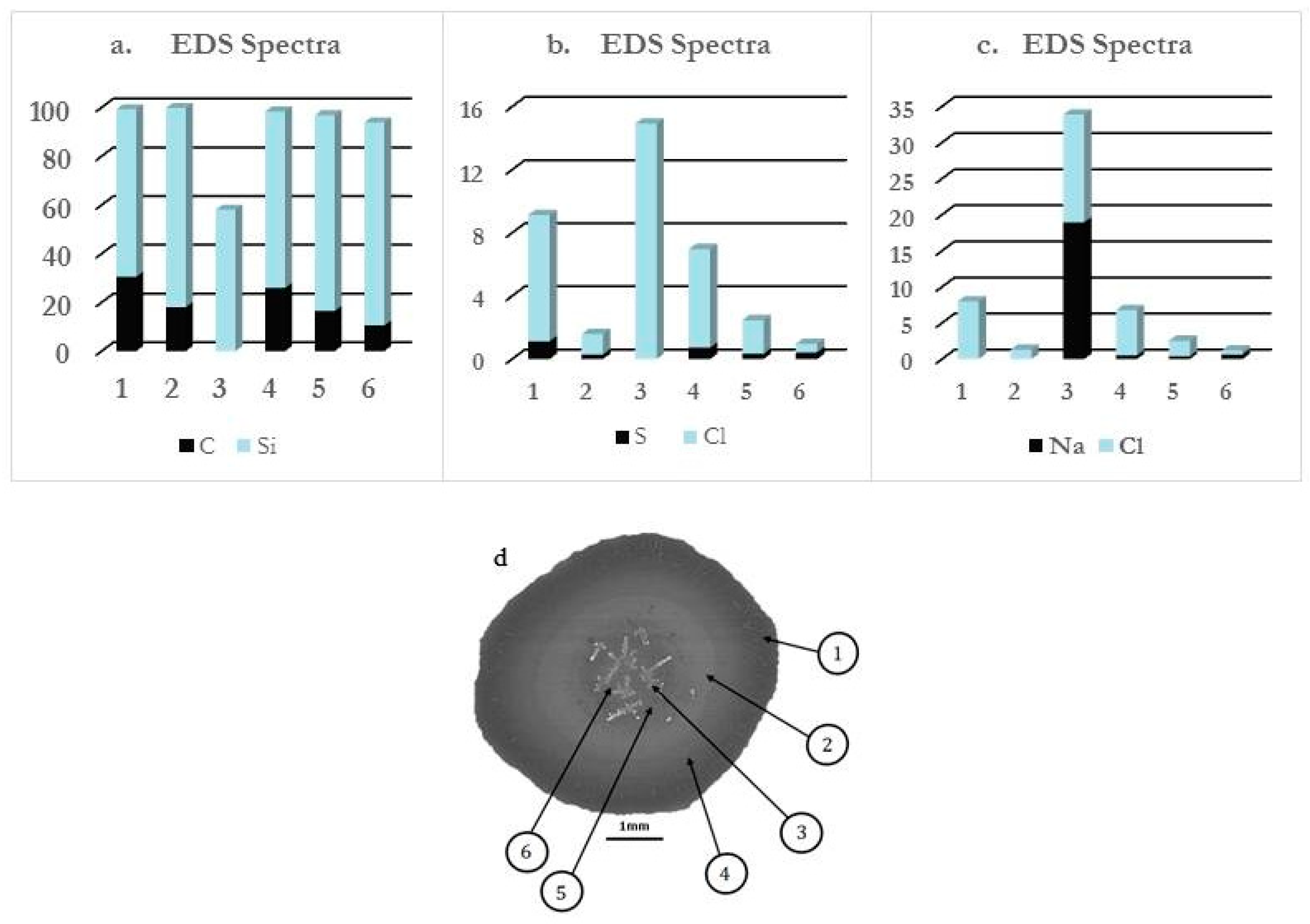 Ijms 22 07953 g004 Ijms 22 07953 g004