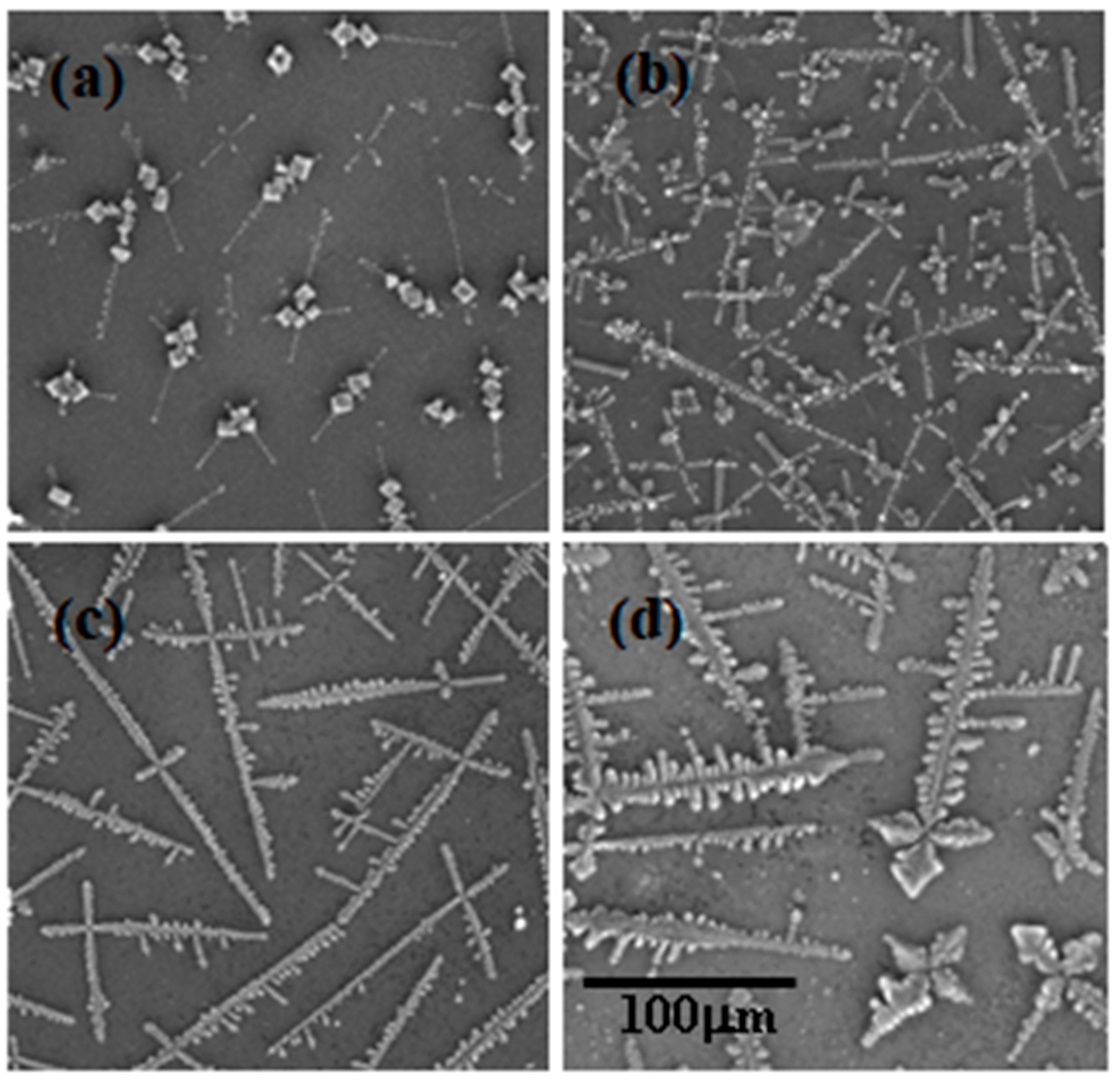 Ijms 22 07953 g006 Ijms 22 07953 g006