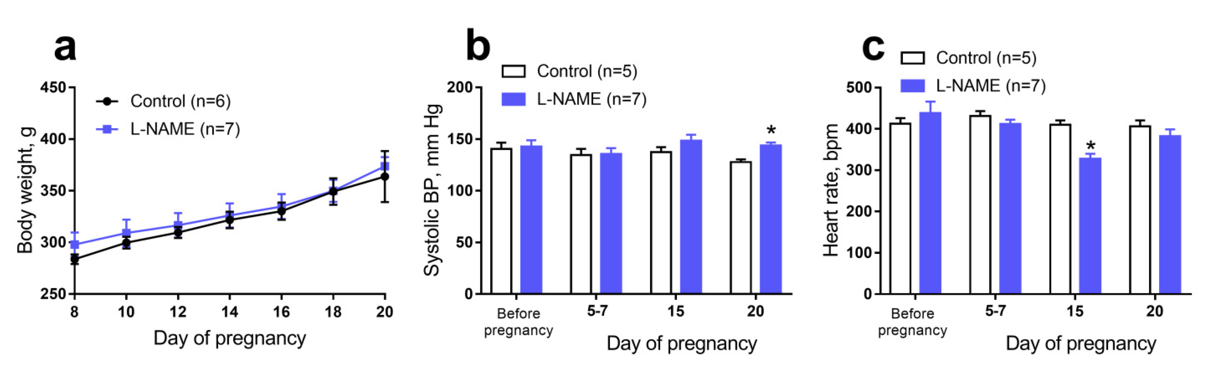 Ijms Free Full Text Intrauterine Nitric Oxide Deficiency Weakens Differentiation Of Vascular Smooth Muscle In Newborn Rats Html