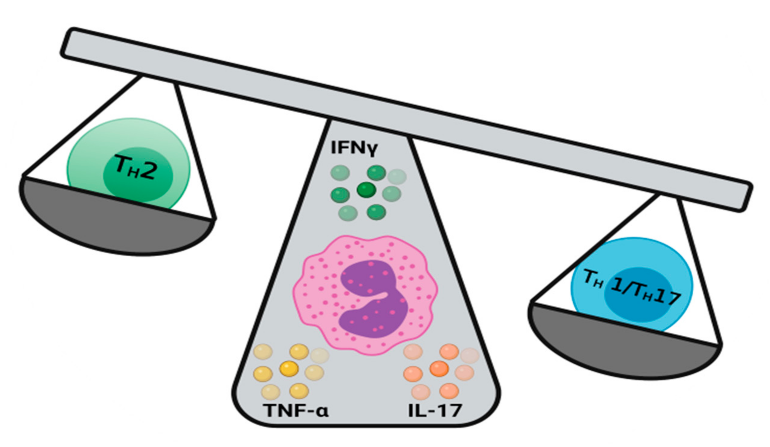 Ijms 22 08004 g002 Ijms 22 08004 g002