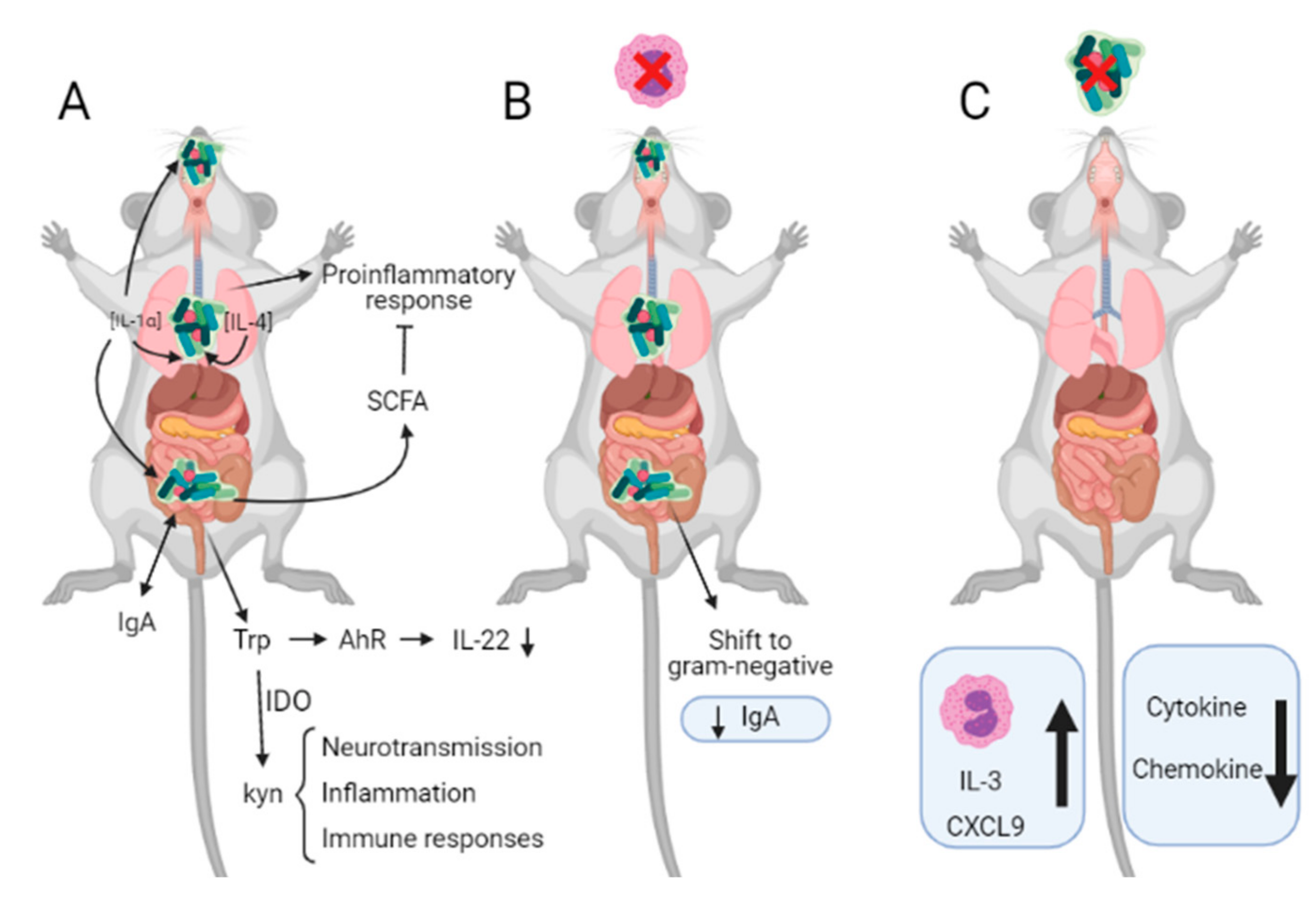 Ijms 22 08004 g004 Ijms 22 08004 g004