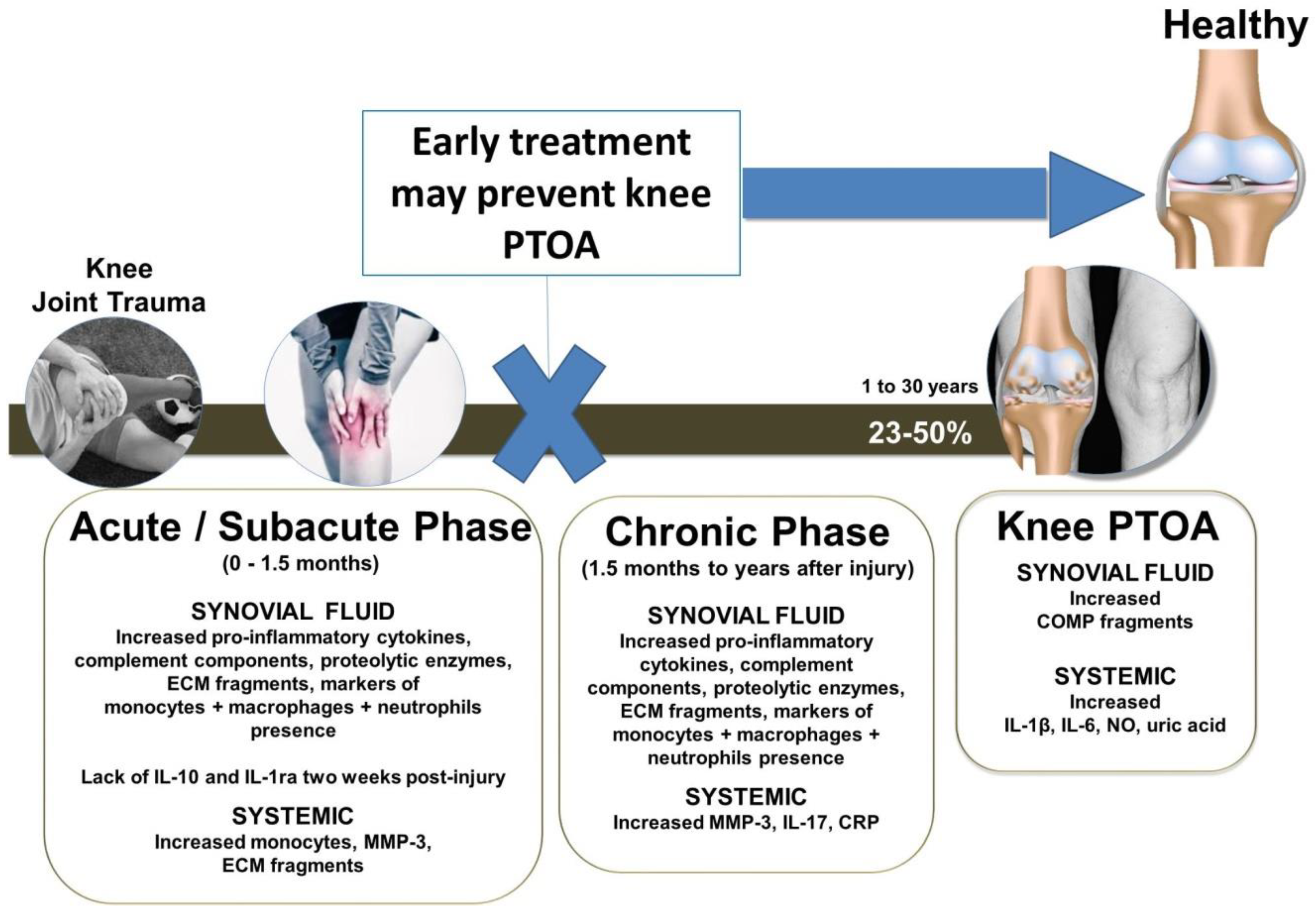 Ijms Free Full Text Anti Inflammatory Therapeutic Approaches To Prevent Or Delay Post Traumatic Osteoarthritis Ptoa Of The Knee Joint With A Focus On Sustained Delivery Approaches Html