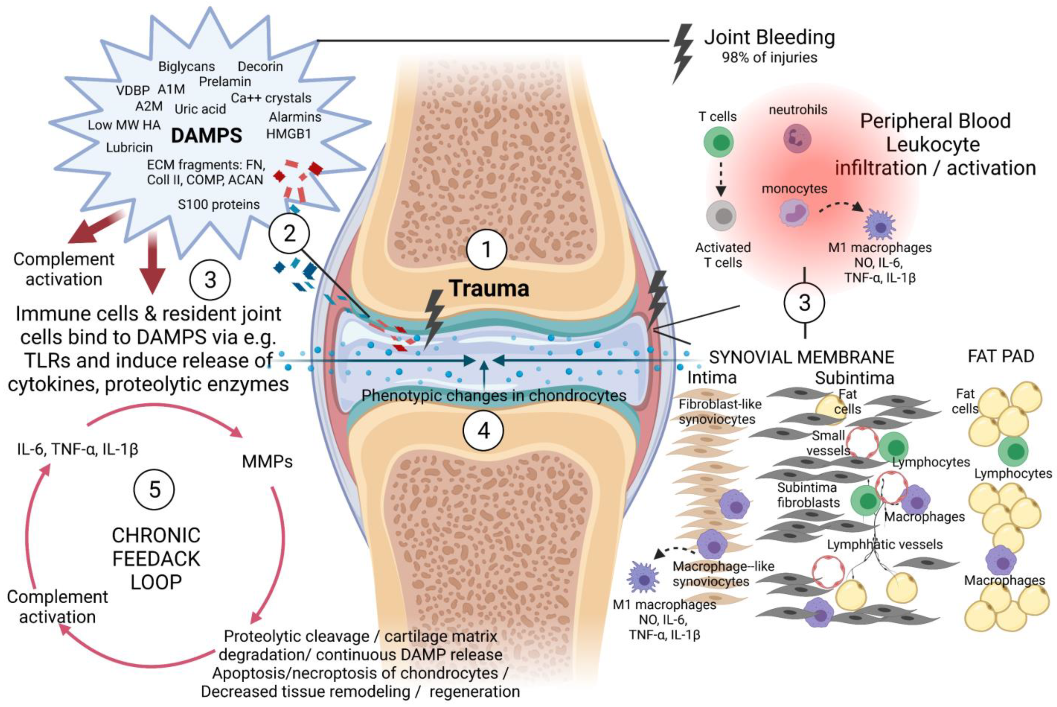 Ijms 22 08005 g002 Ijms 22 08005 g002