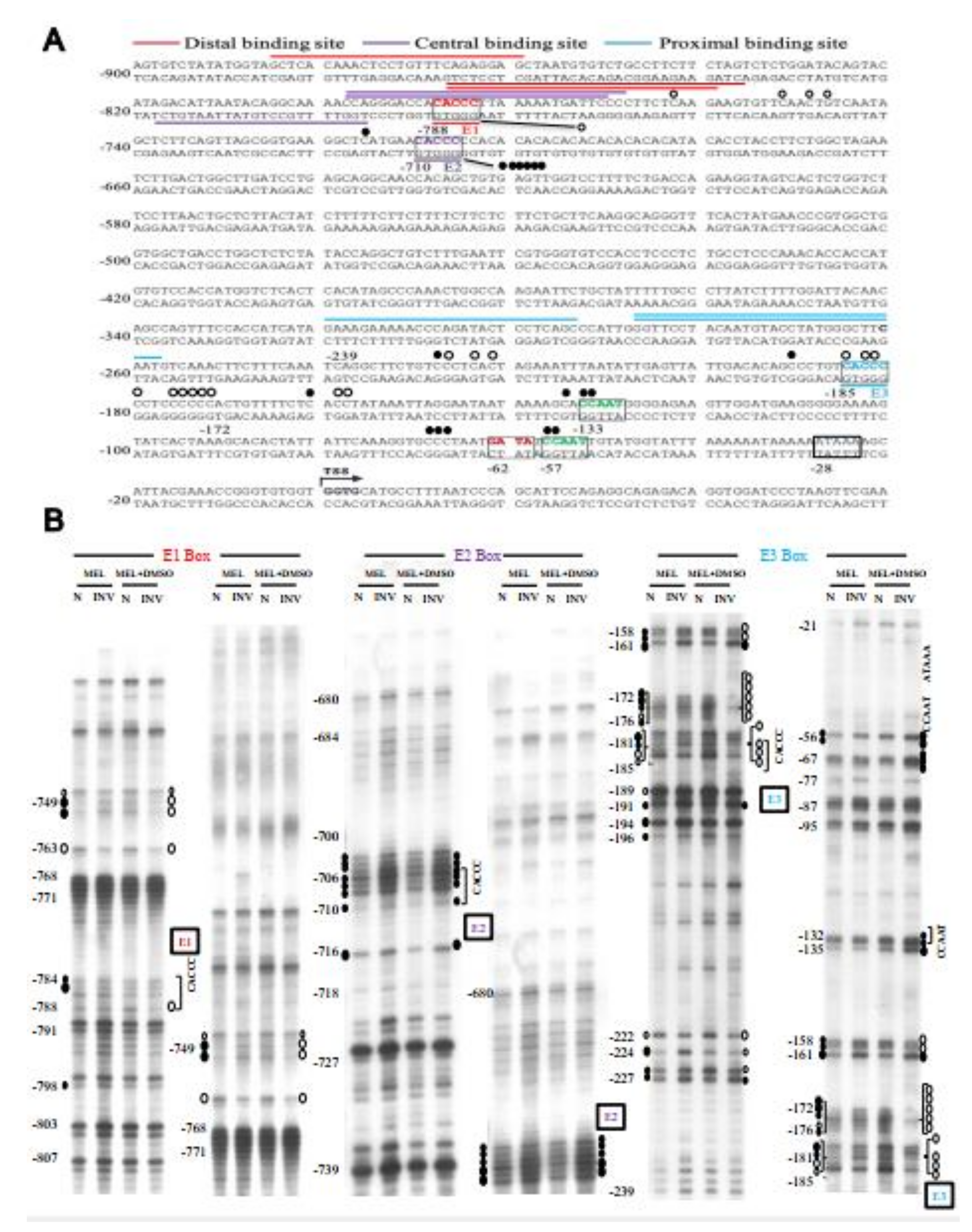 Ijms 22 08024 g005 Ijms 22 08024 g005