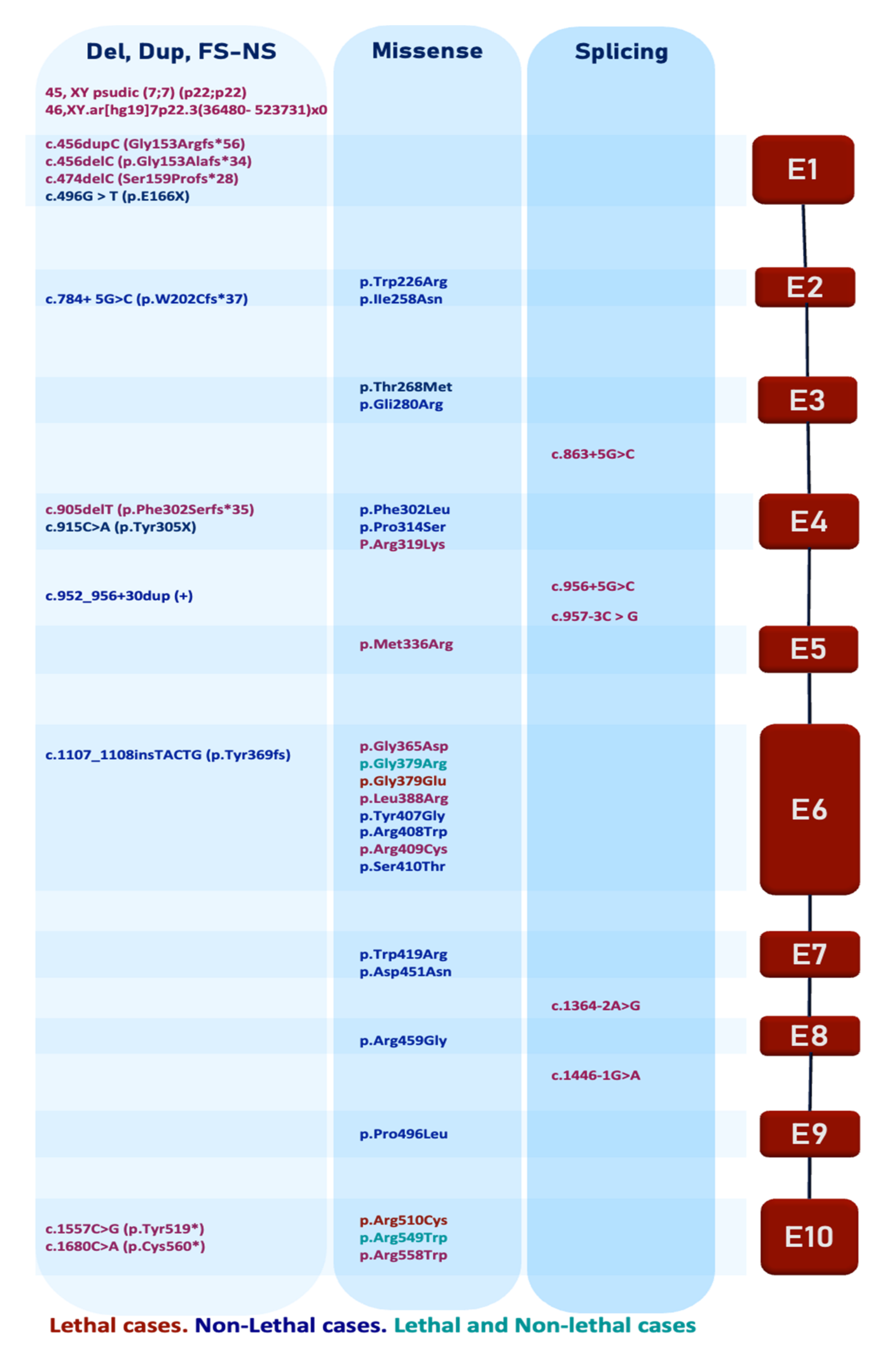 Ijms 22 08039 g003 Ijms 22 08039 g003