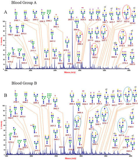 Ijms Free Full Text N Glycomics Of Human Erythrocytes Html