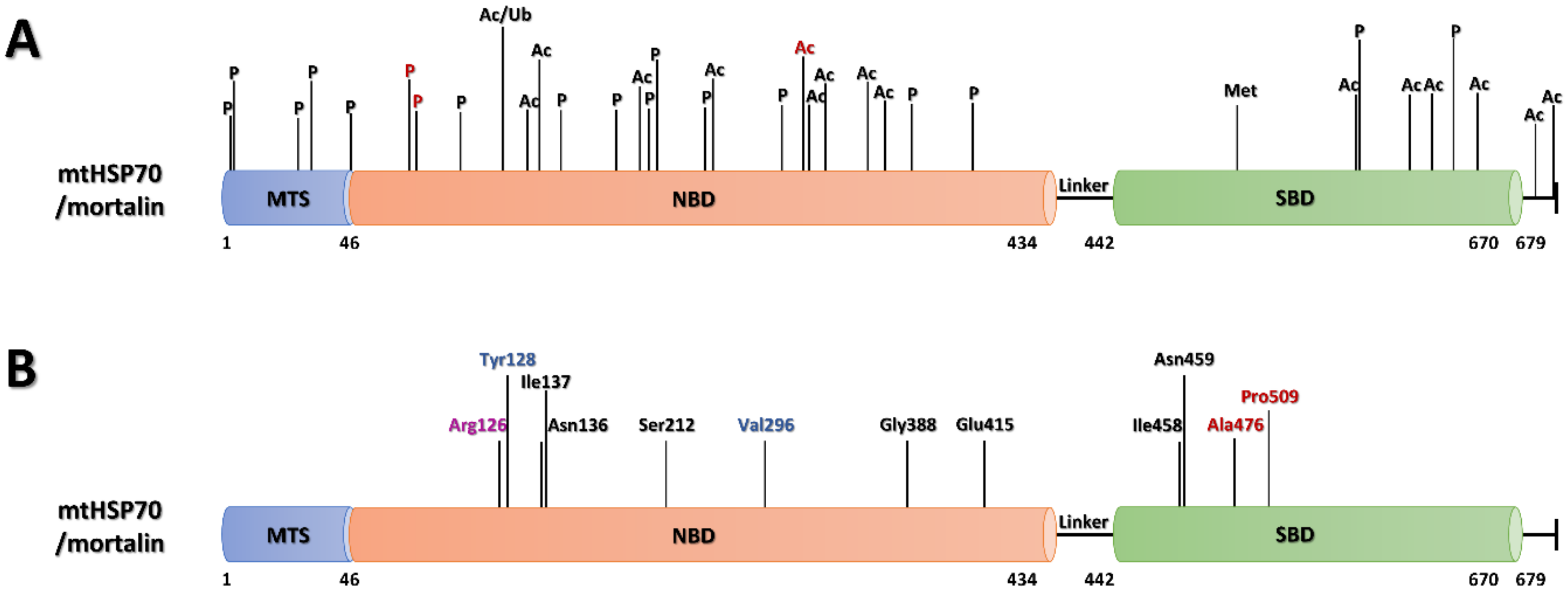 Ijms 22 08077 g003 Ijms 22 08077 g003