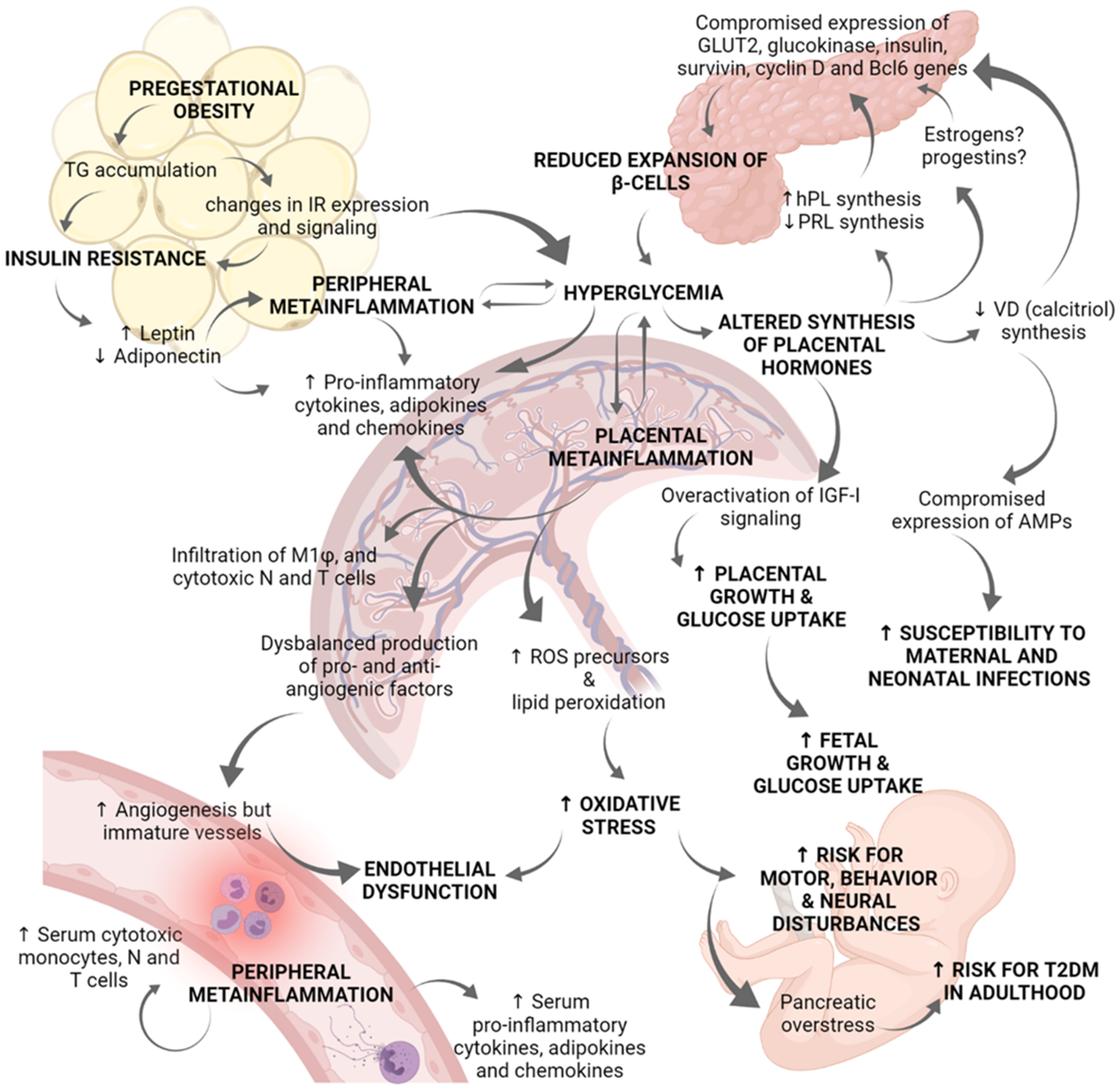 Ijms 22 08087 g002 Ijms 22 08087 g002