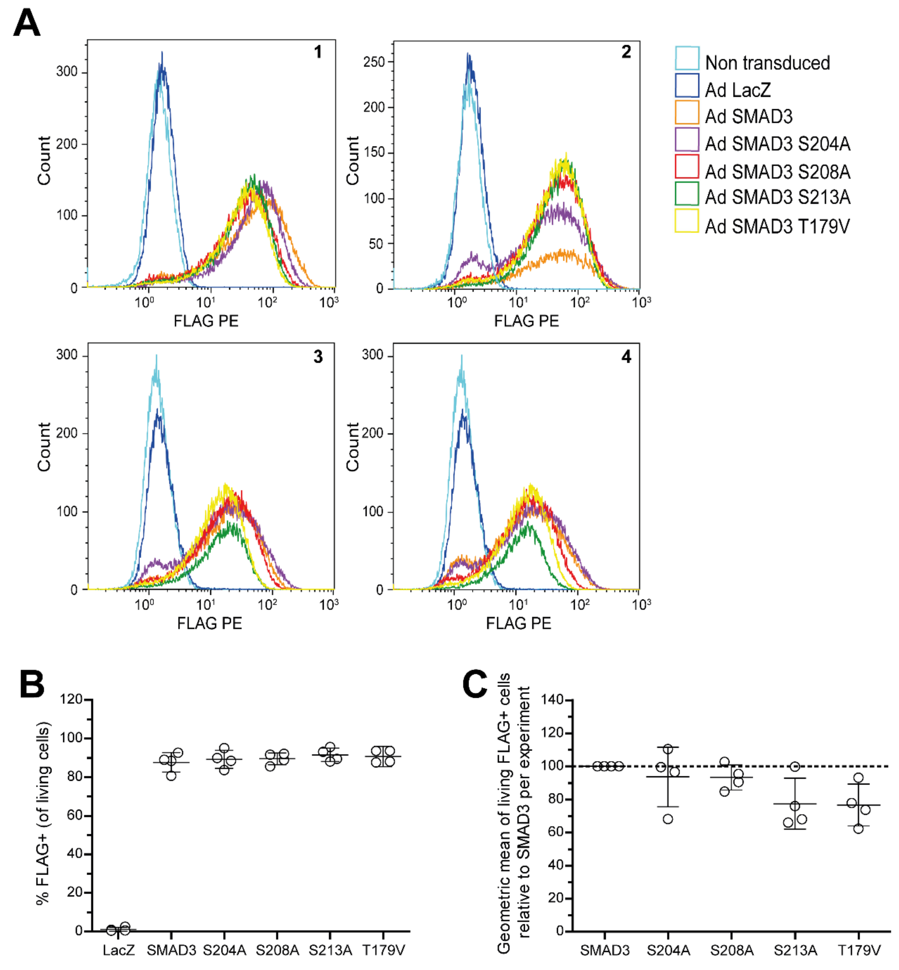 Ijms 22 08124 sch0a3