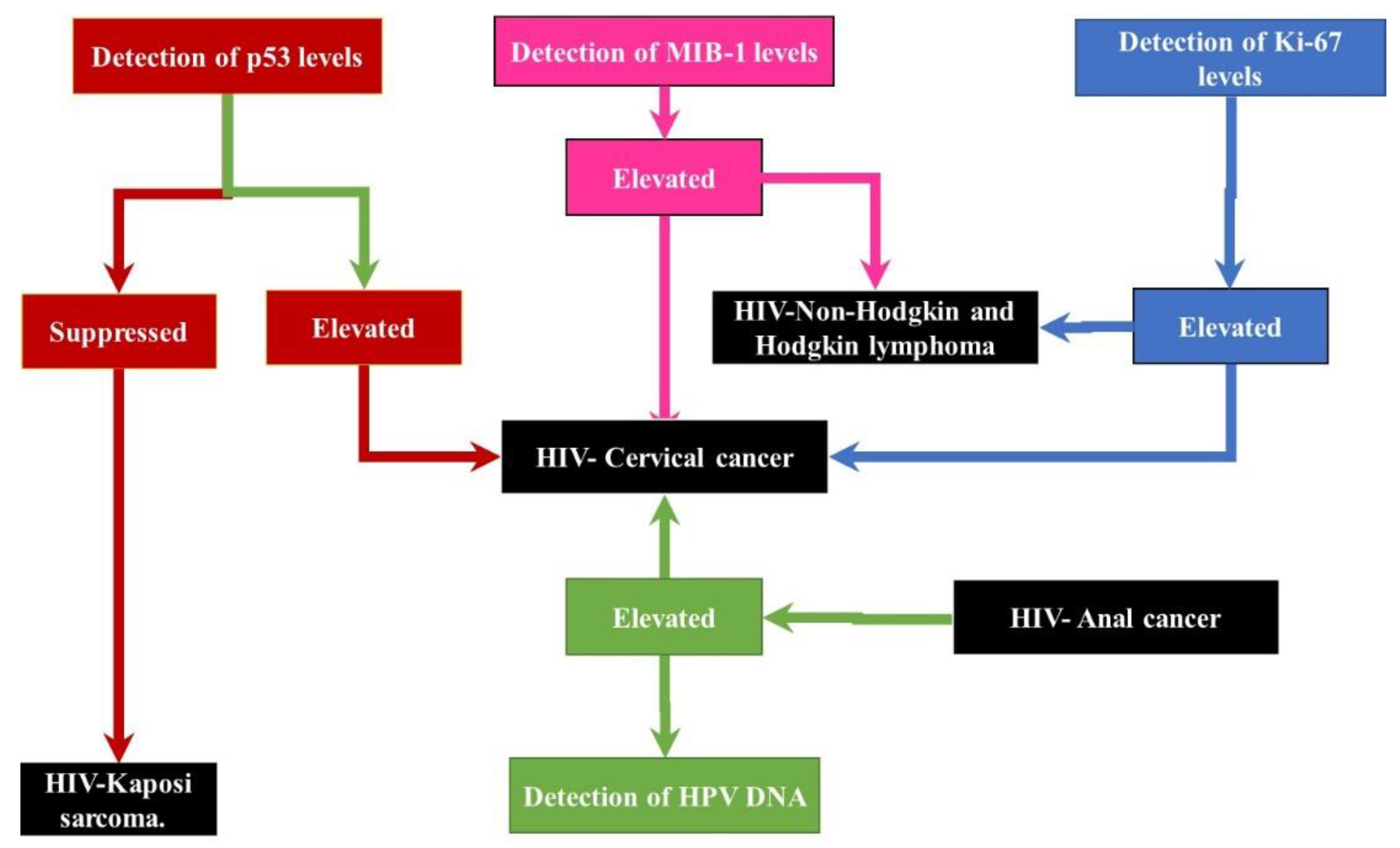 Ijms 22 08127 g003 Ijms 22 08127 g003