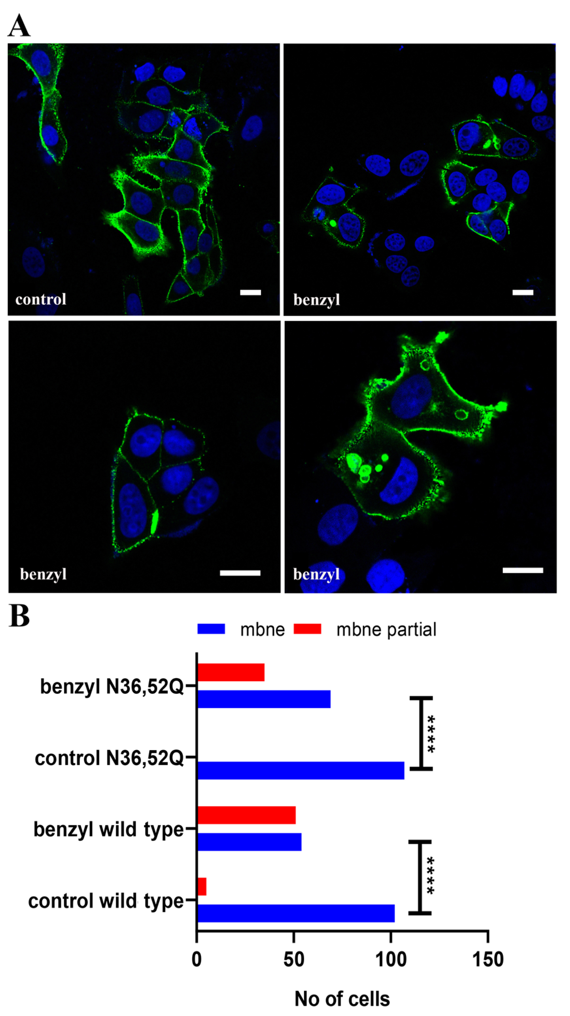 Ijms 22 08165 g006 Ijms 22 08165 g006