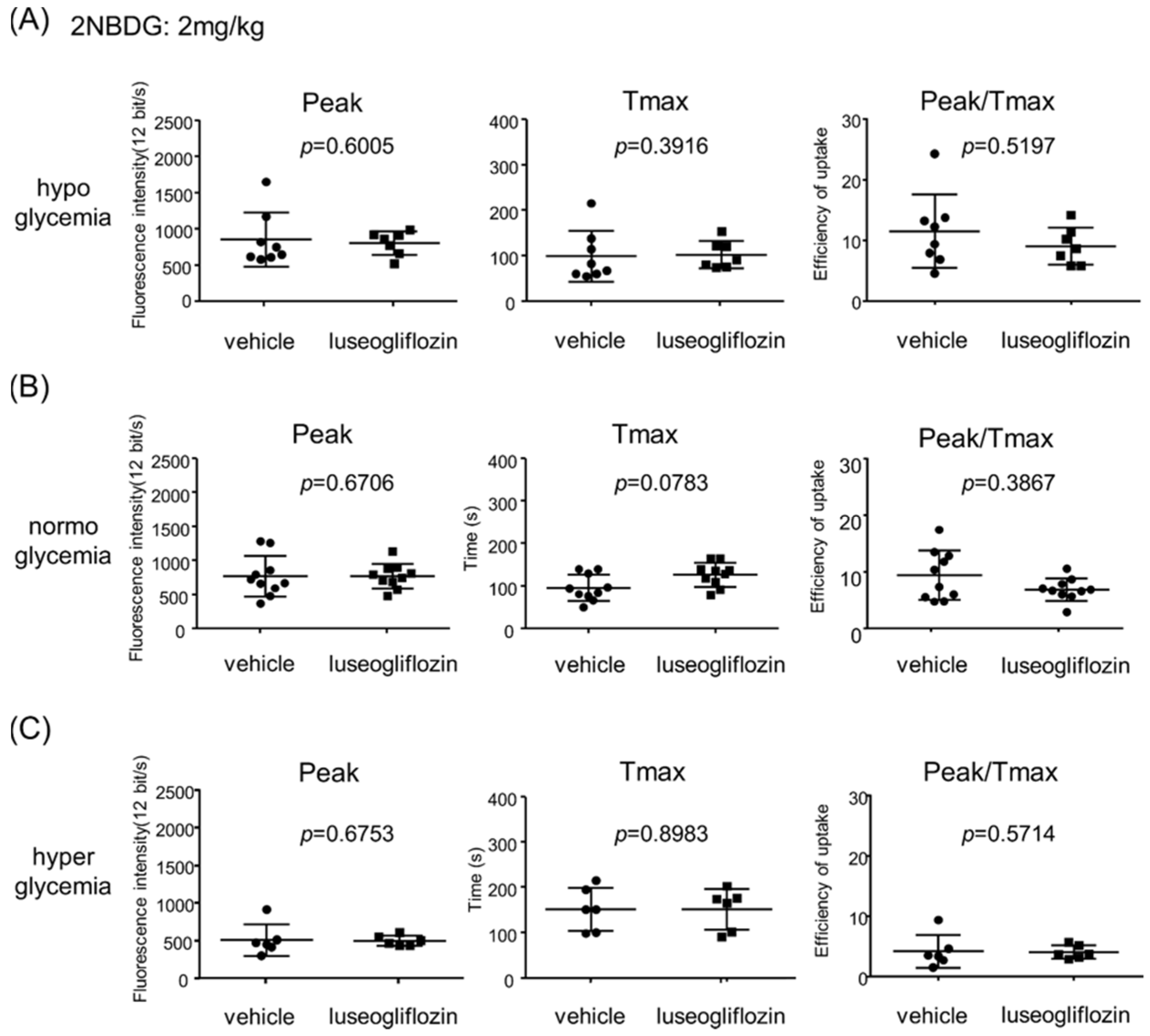 Ijms 22 08169 g003 Ijms 22 08169 g003