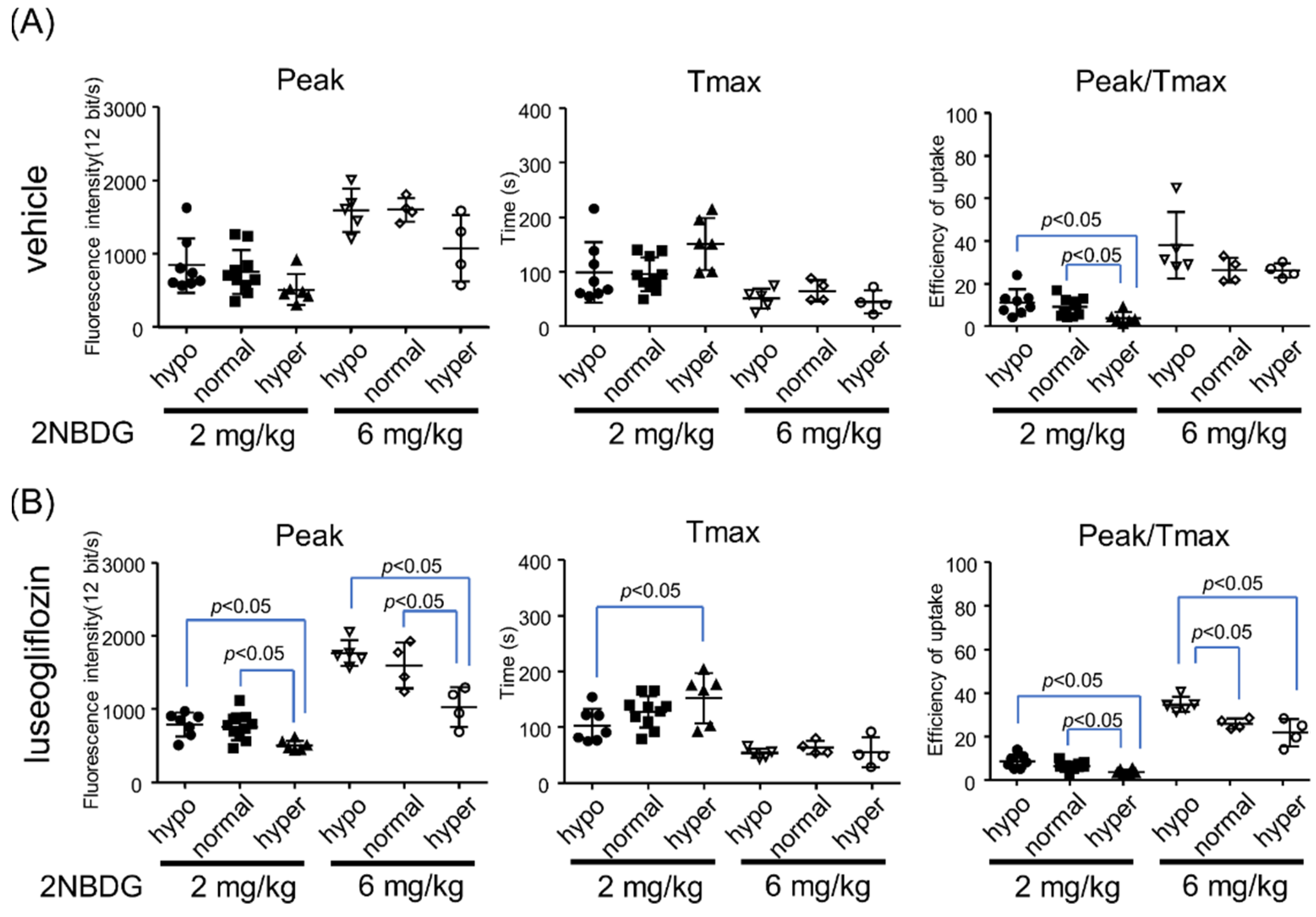 Ijms 22 08169 g004 Ijms 22 08169 g004