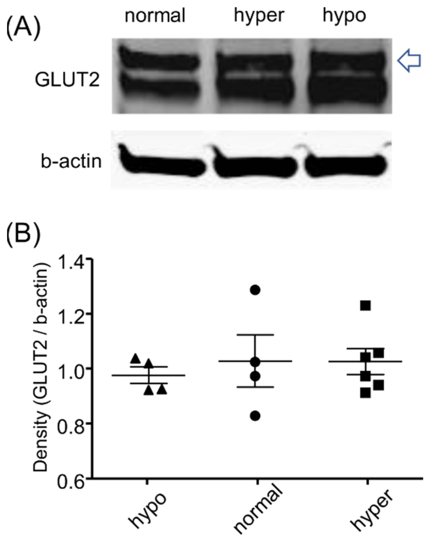 Ijms 22 08169 g006 Ijms 22 08169 g006