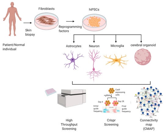 IJMS | Free Full-Text | Emerging HiPSC Models For Drug Discovery.