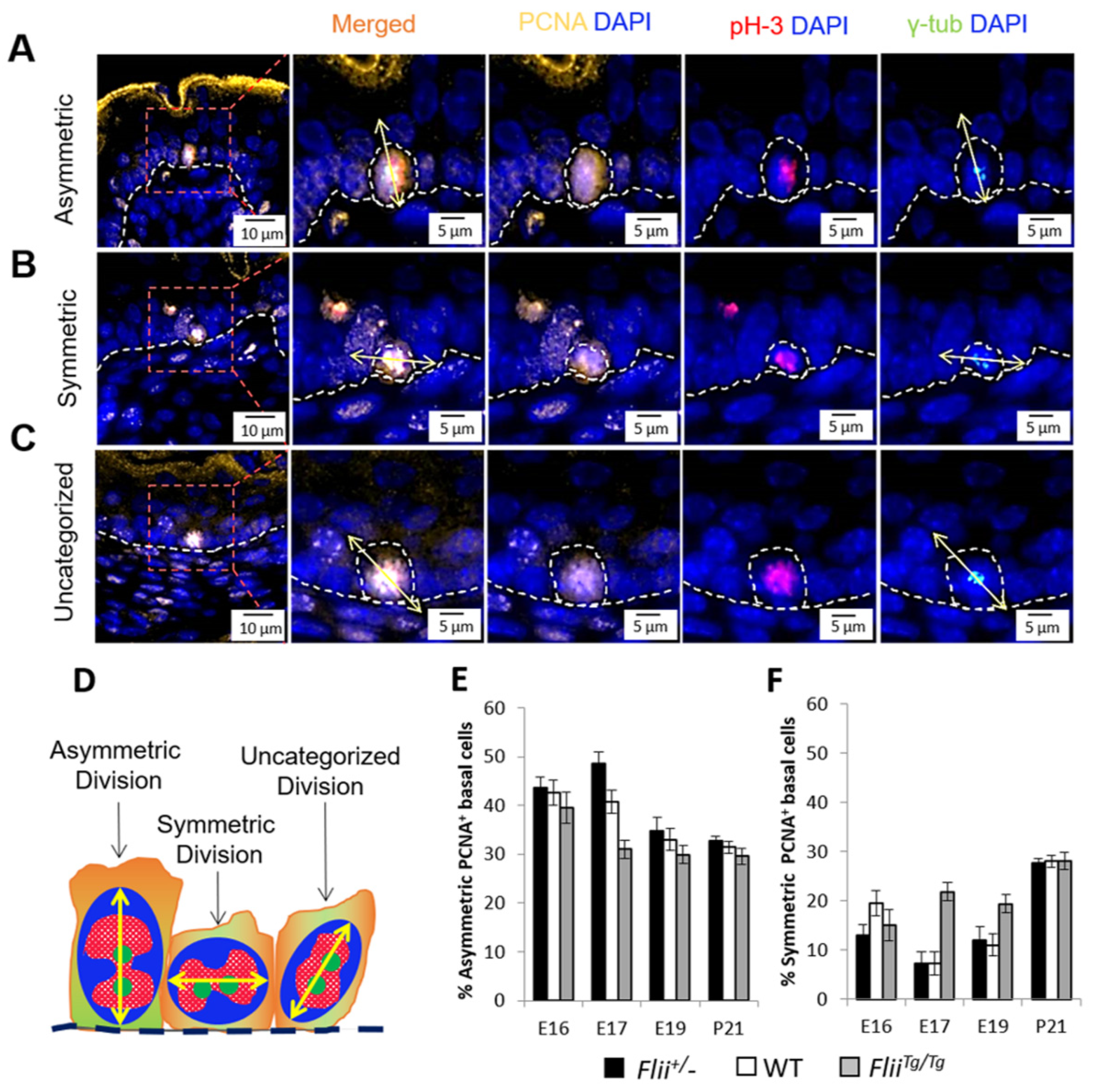 Ijms 22 08235 g003 Ijms 22 08235 g003