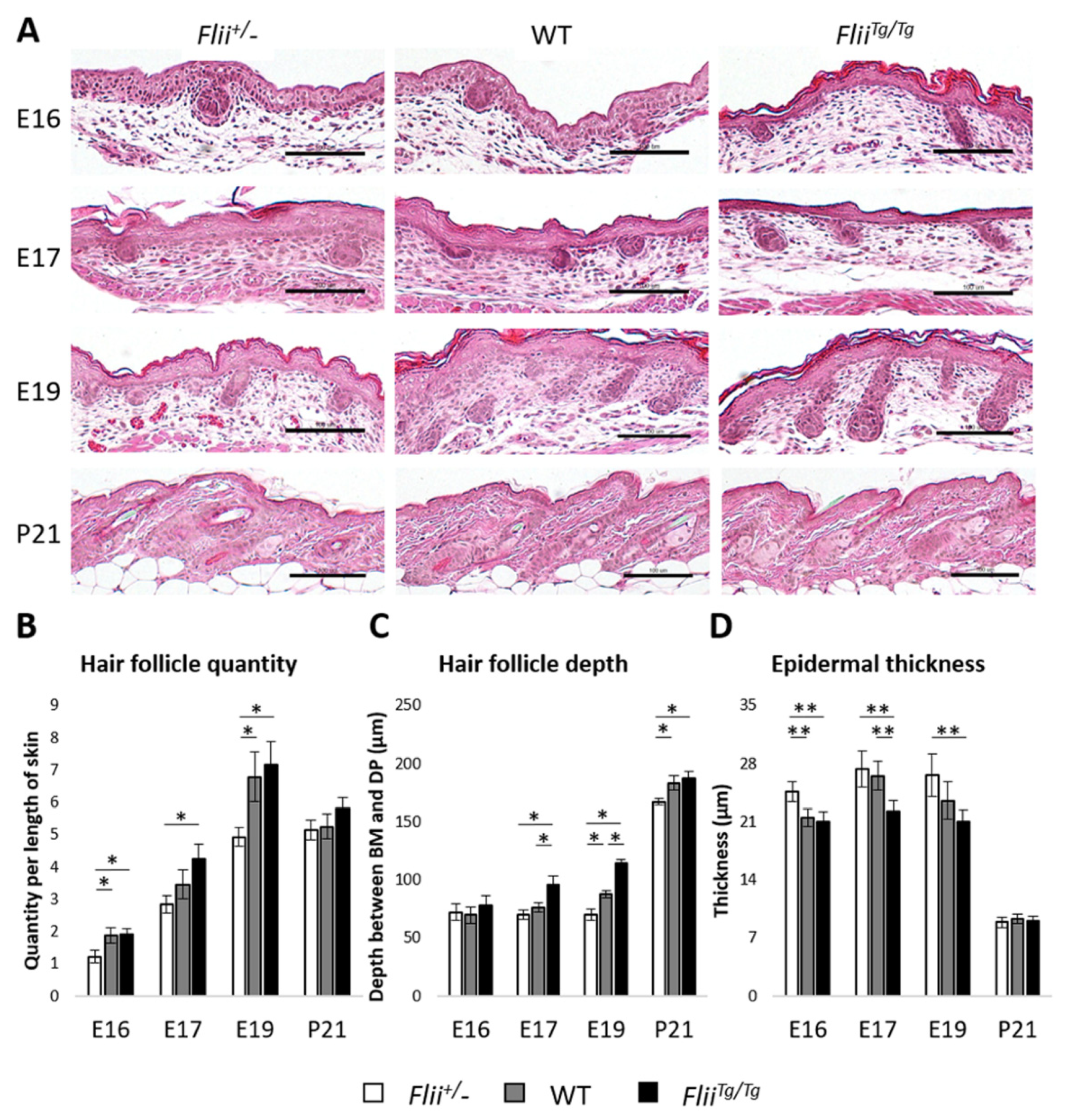Ijms 22 08235 g004 Ijms 22 08235 g004