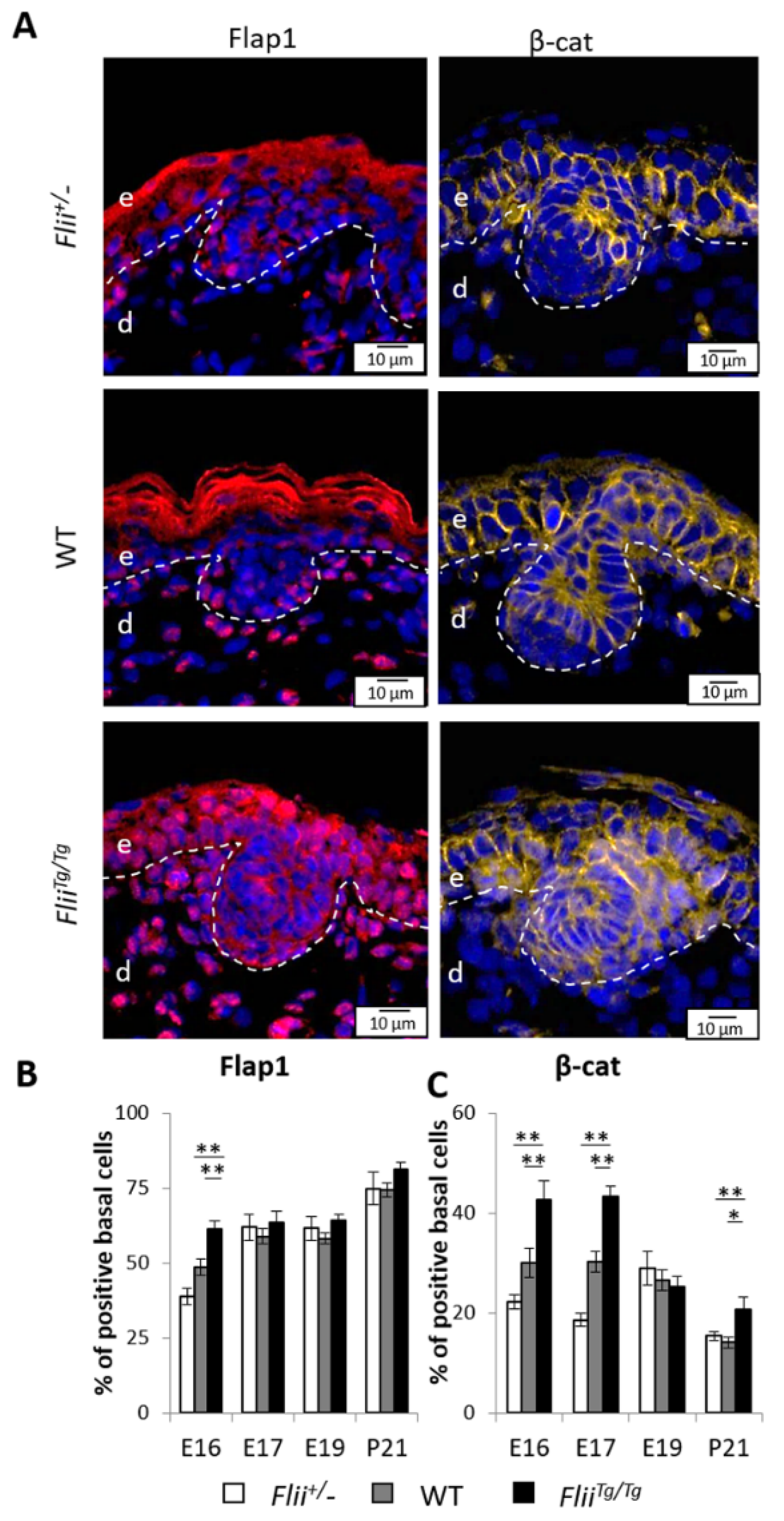 Ijms 22 08235 g006 Ijms 22 08235 g006