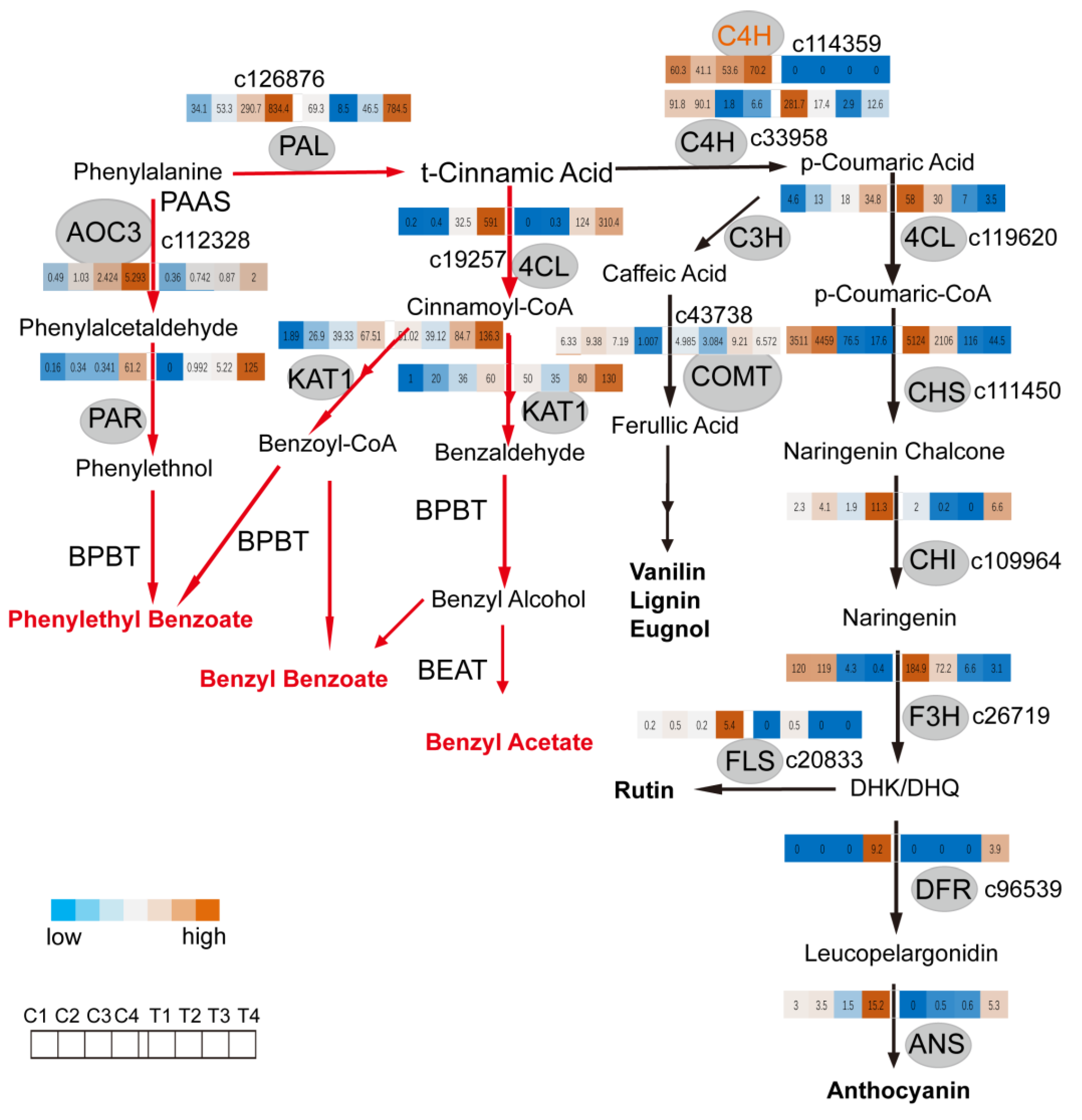 Ijms Free Full Text Transcriptome Based Wgcna Analysis Reveals Regulated Metabolite Fluxes Between Floral Color And Scent In Narcissus Tazetta Flower Html