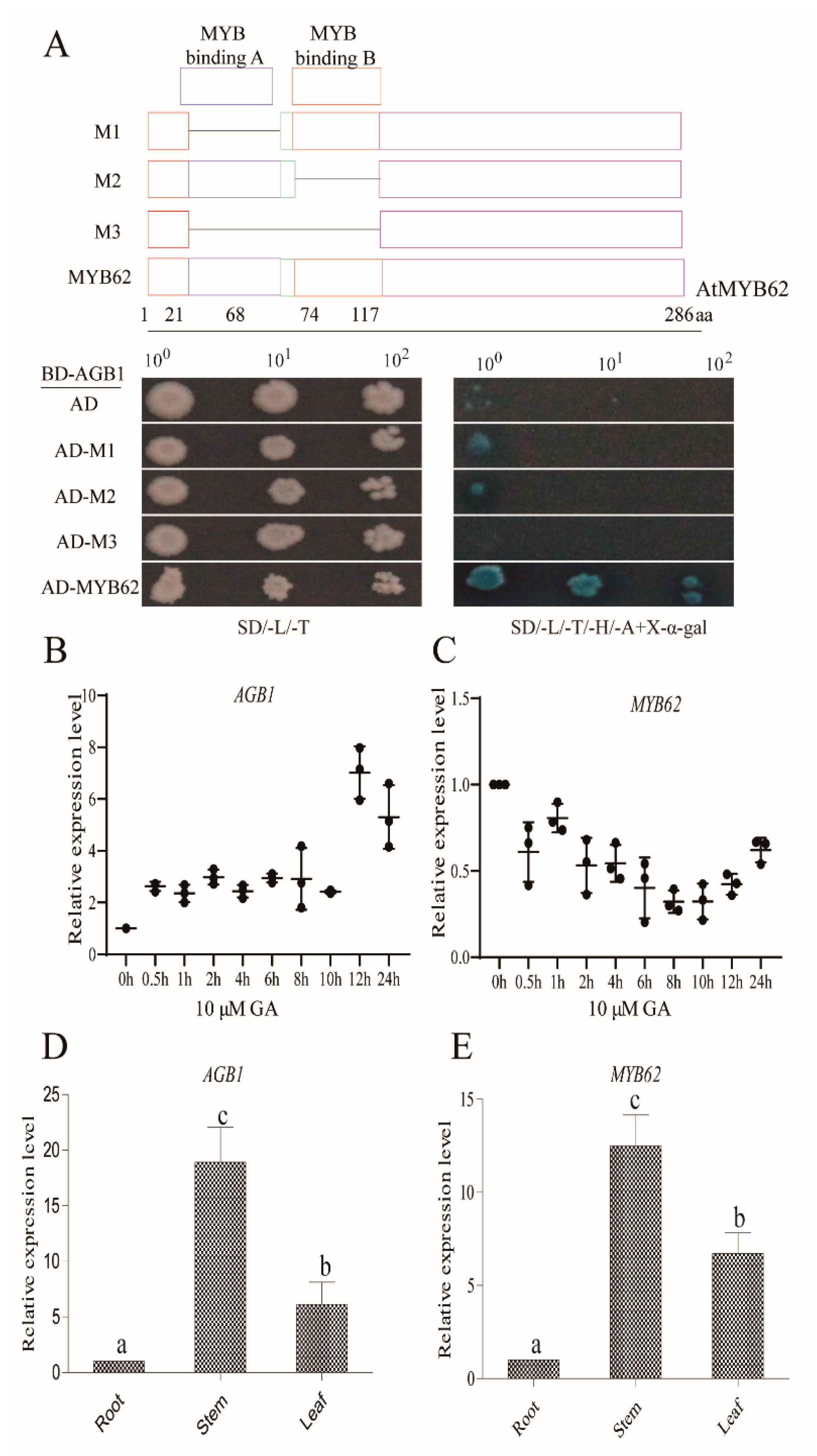 Ijms 22 08270 g003 Ijms 22 08270 g003