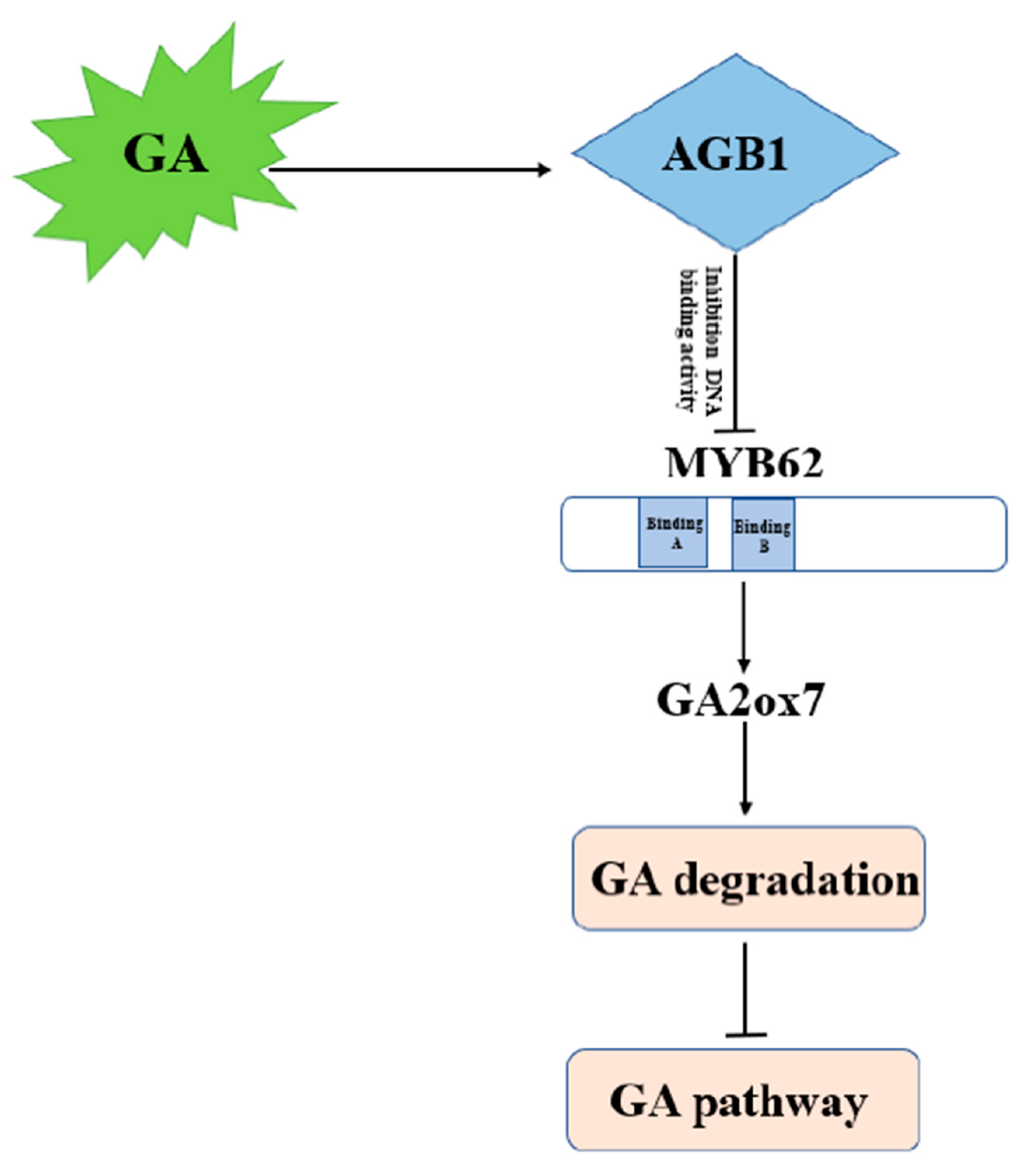 Ijms 22 08270 g007 Ijms 22 08270 g007