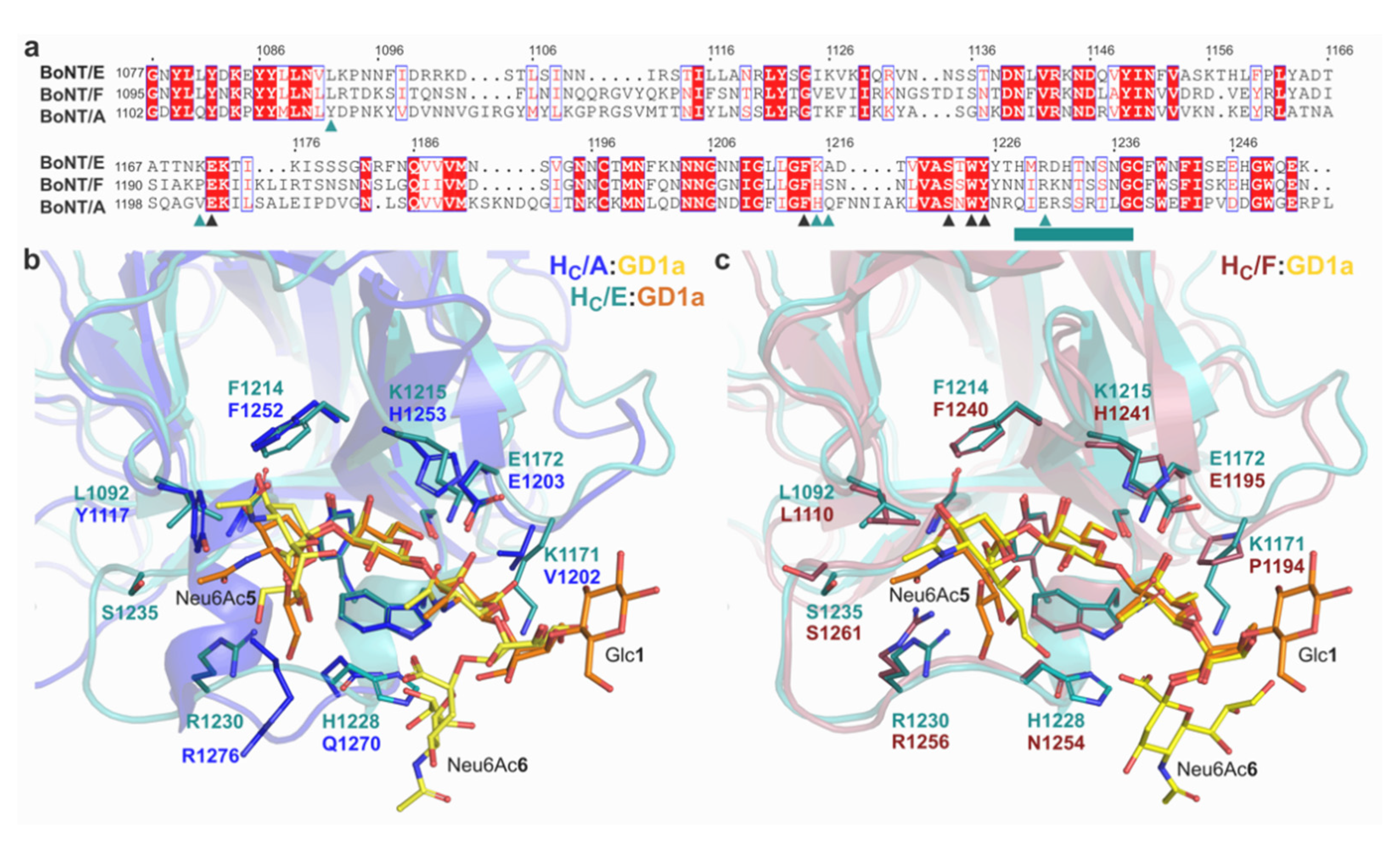 Ijms 22 08315 g005