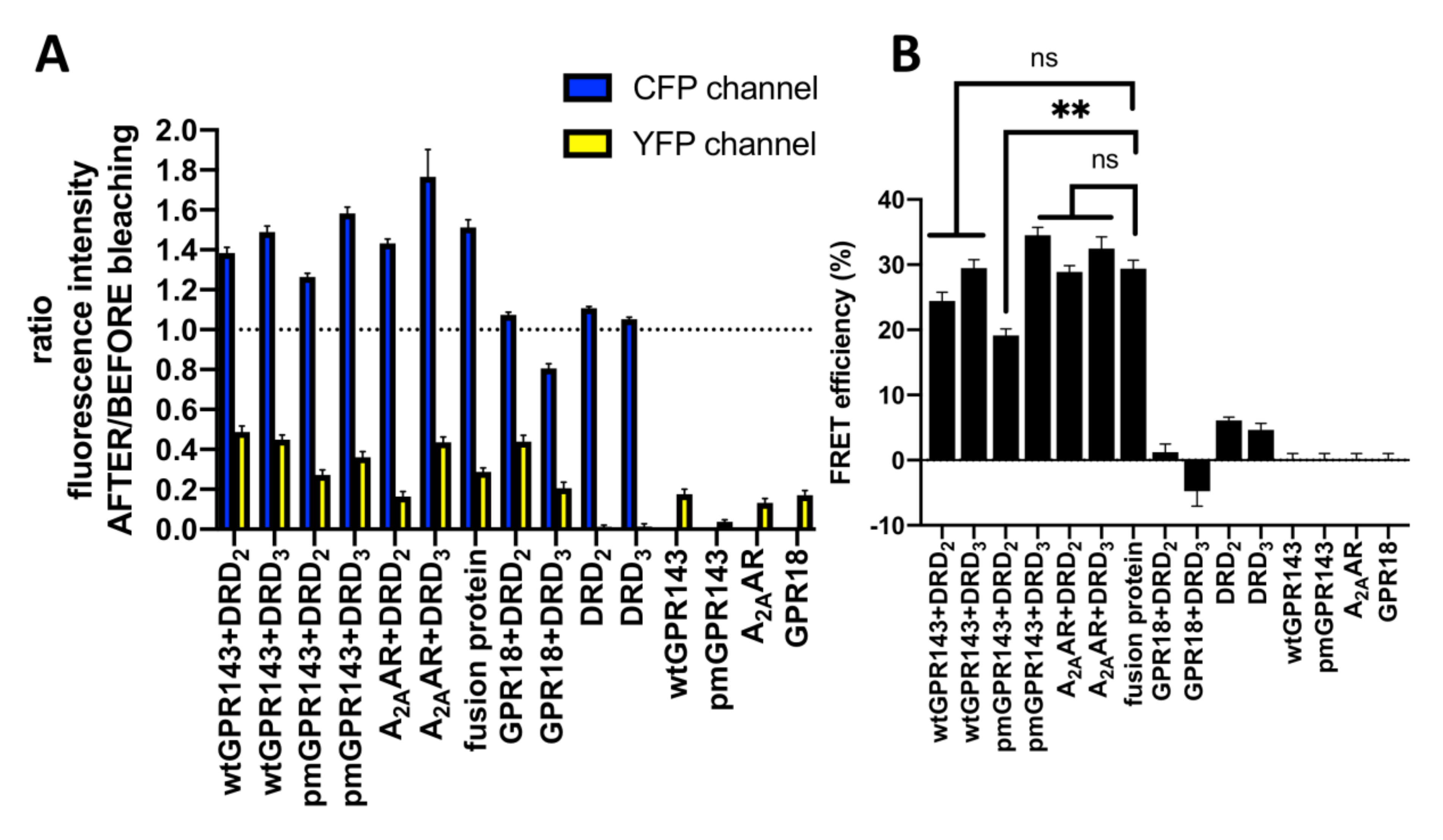 Ijms 22 08328 g003 Ijms 22 08328 g003